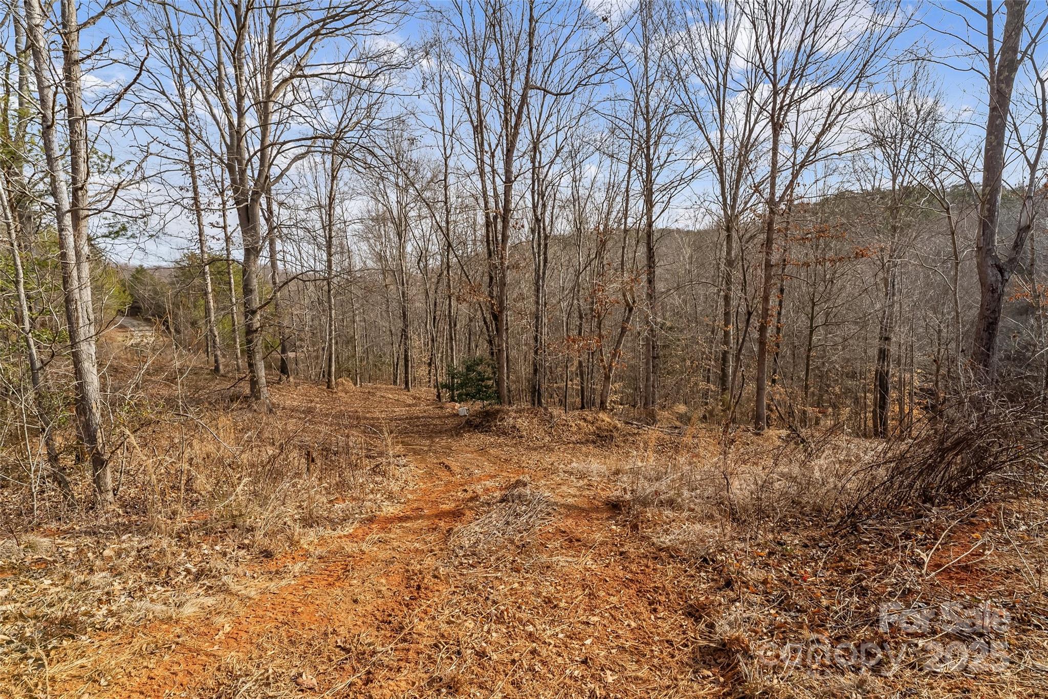 173 & 207 Deer Creek Trail