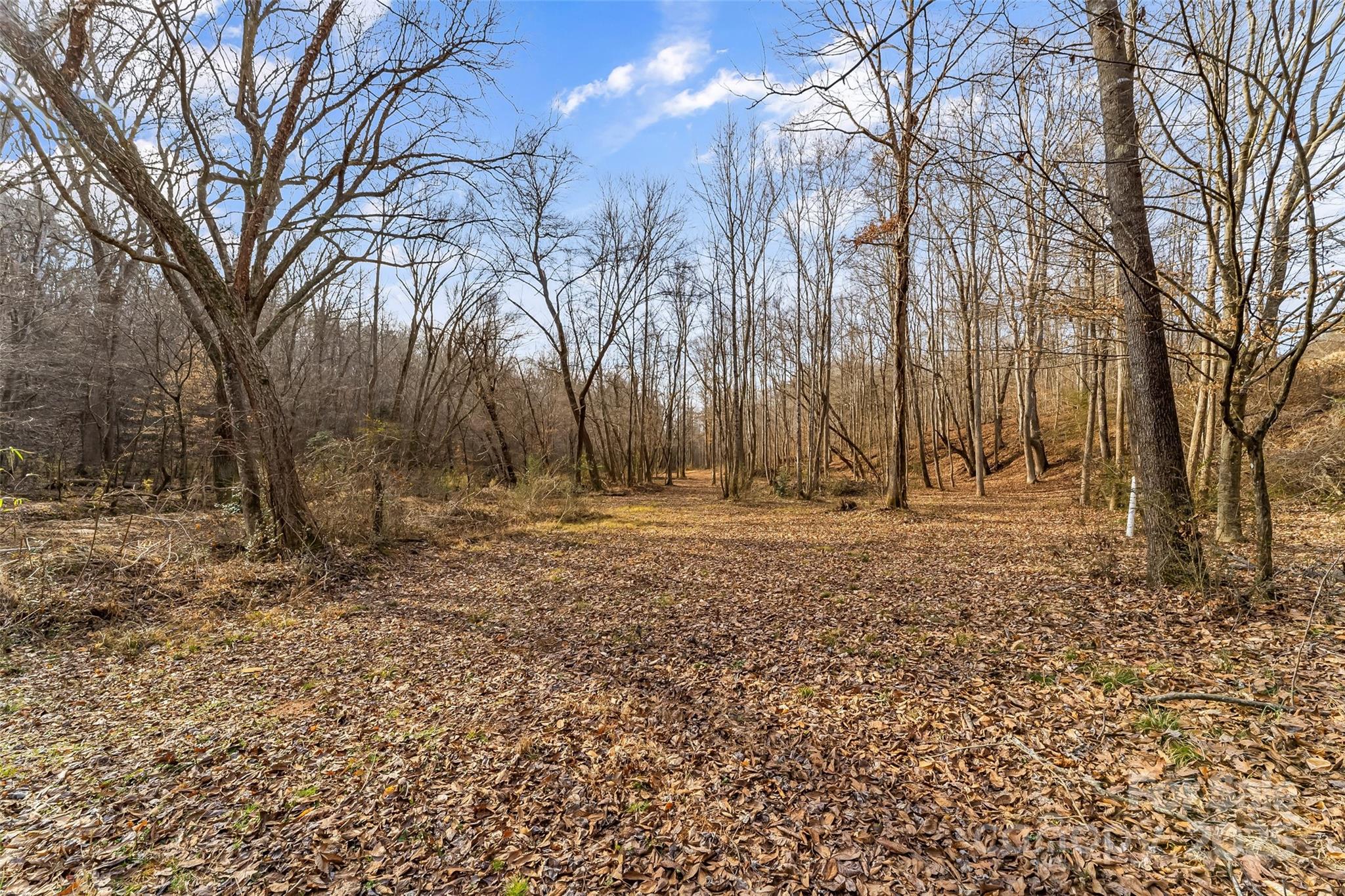 Dales Deer Creek - Land