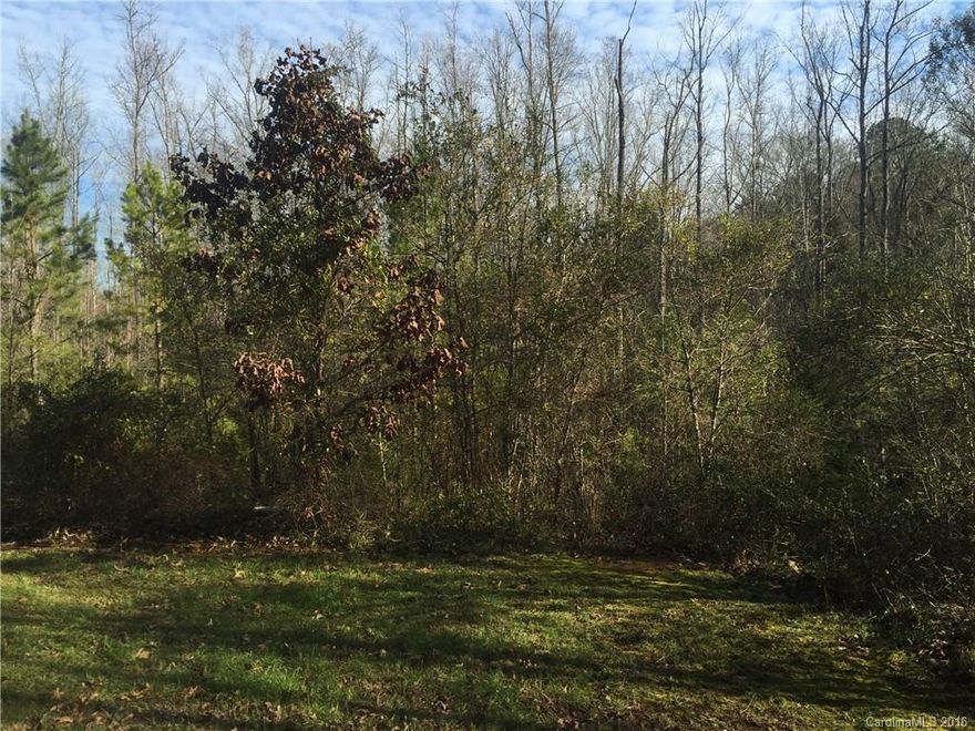 Beautiful wooded Lot in Springwinds neighborhood very close to i77 and dave lyle area. Basement or Tall crawlspace would be best on this lot.  Very motivated seller.