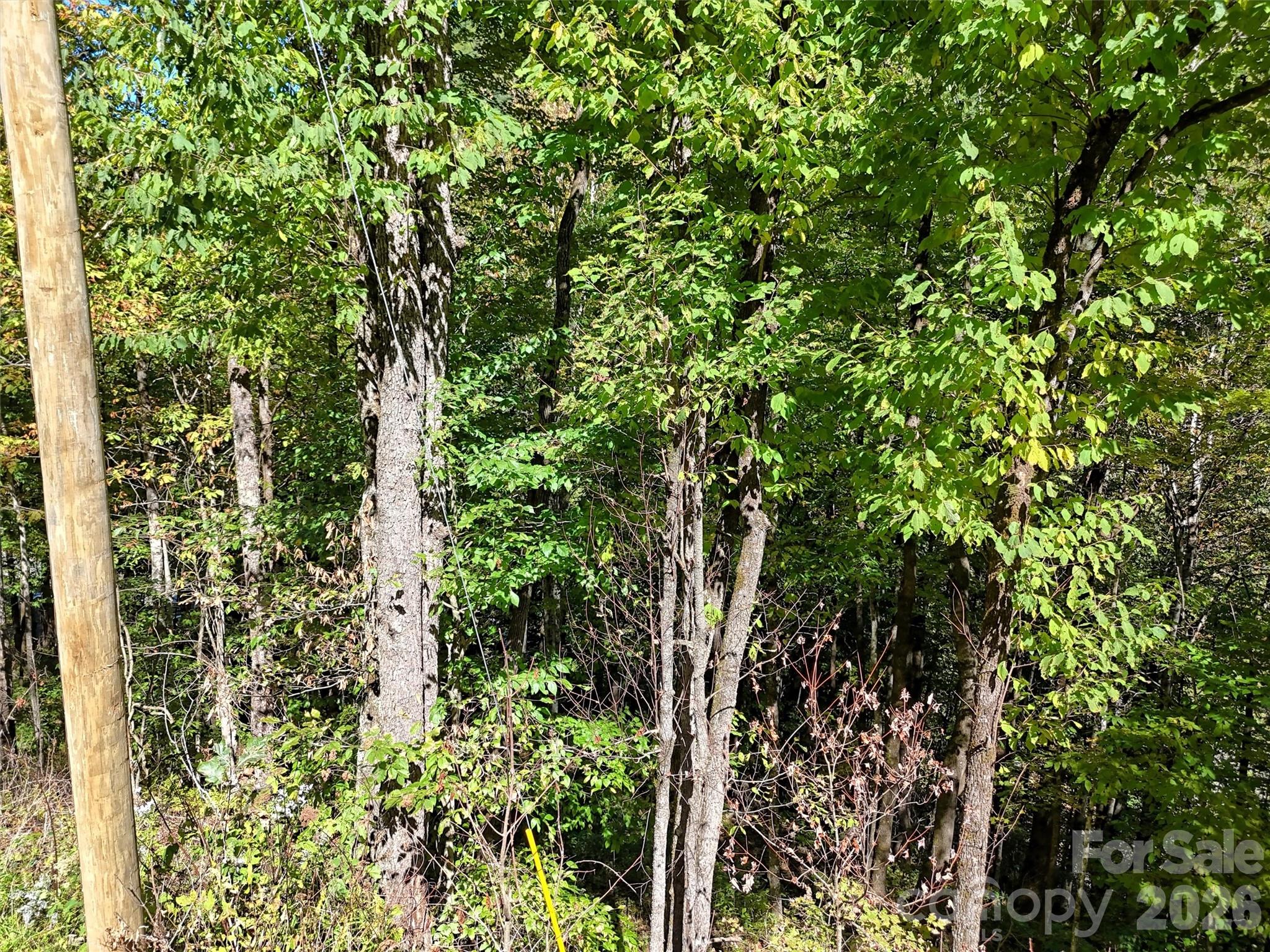 00 Buckeye Haven Road Lot 16