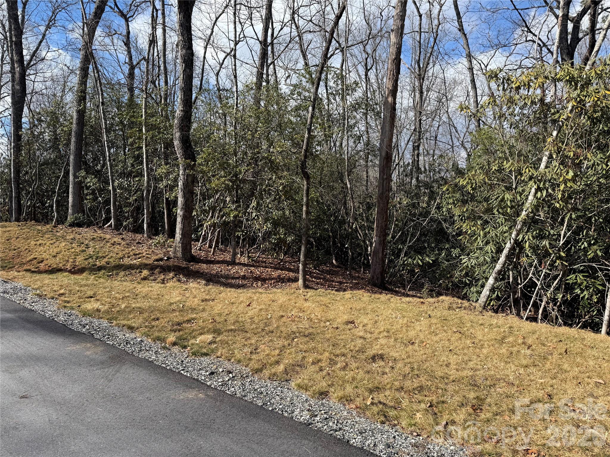 Tract 2 Turtle Ridge Trail