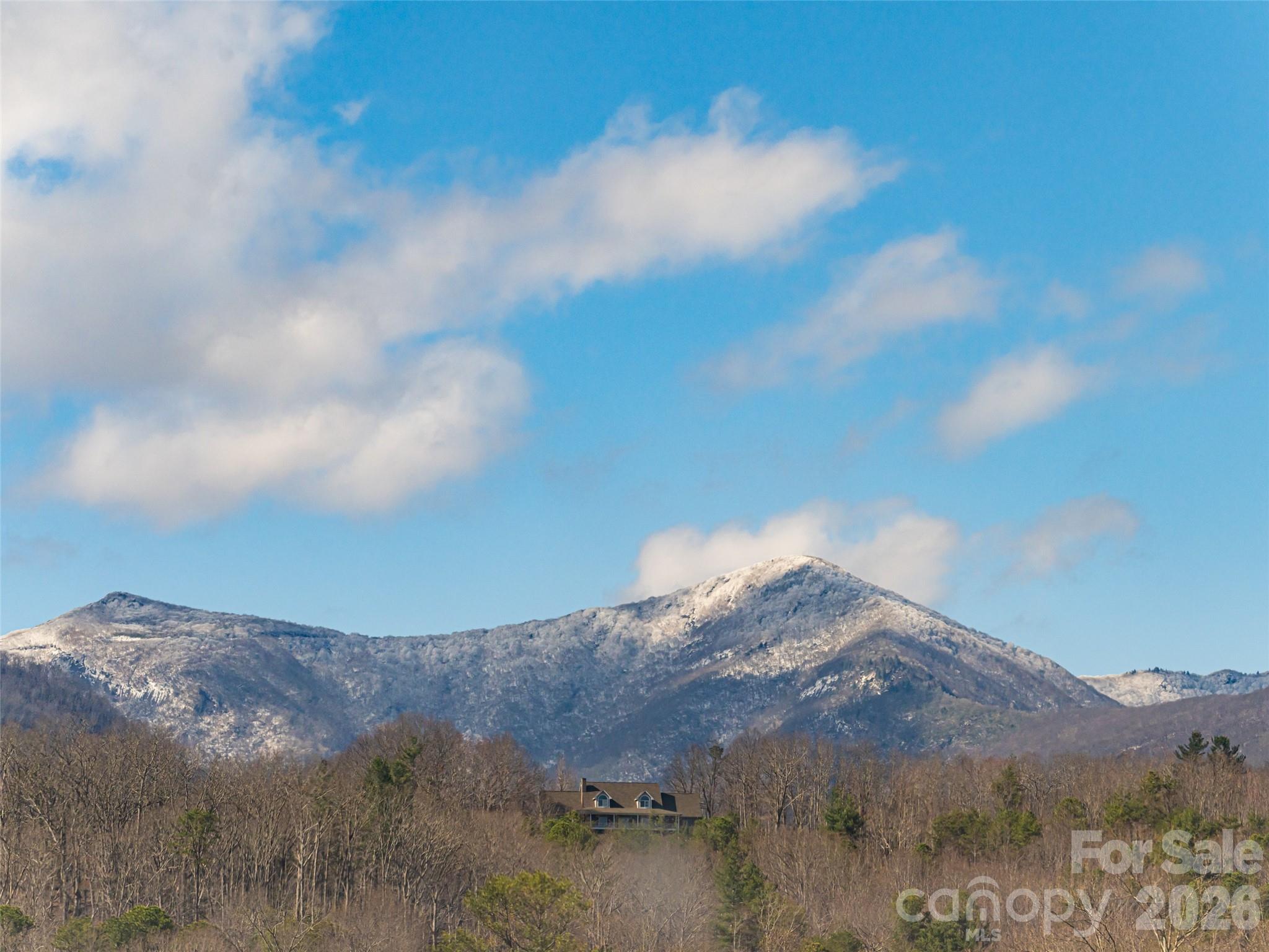 The Lynx Condominium - Residential