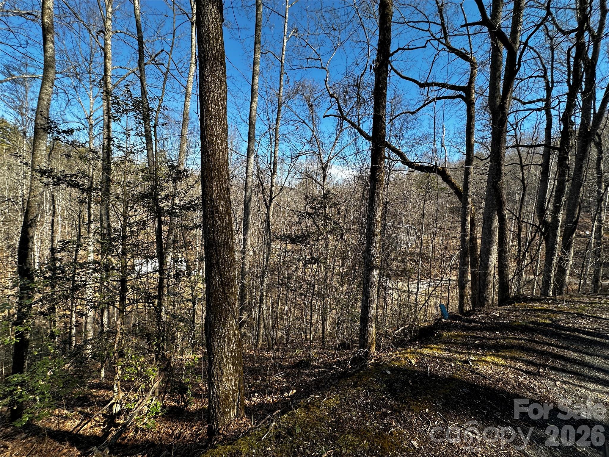 Blue Mist Mountain Estates - Land