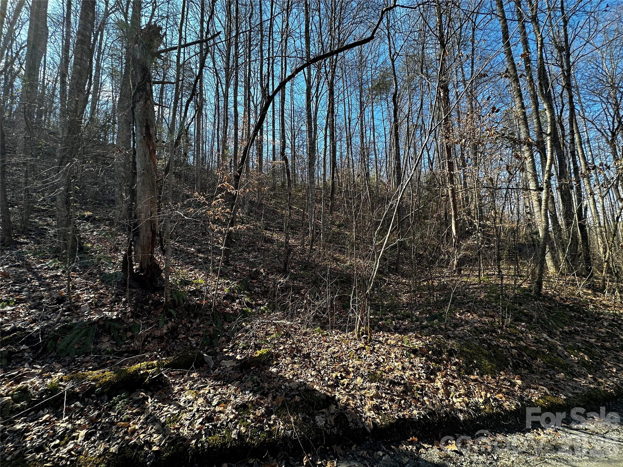 Blue Mist Mountain Estates - Land