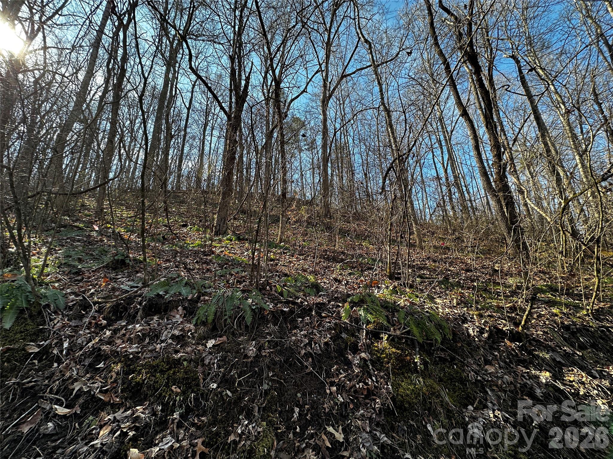 Blue Mist Mountain Estates - Land