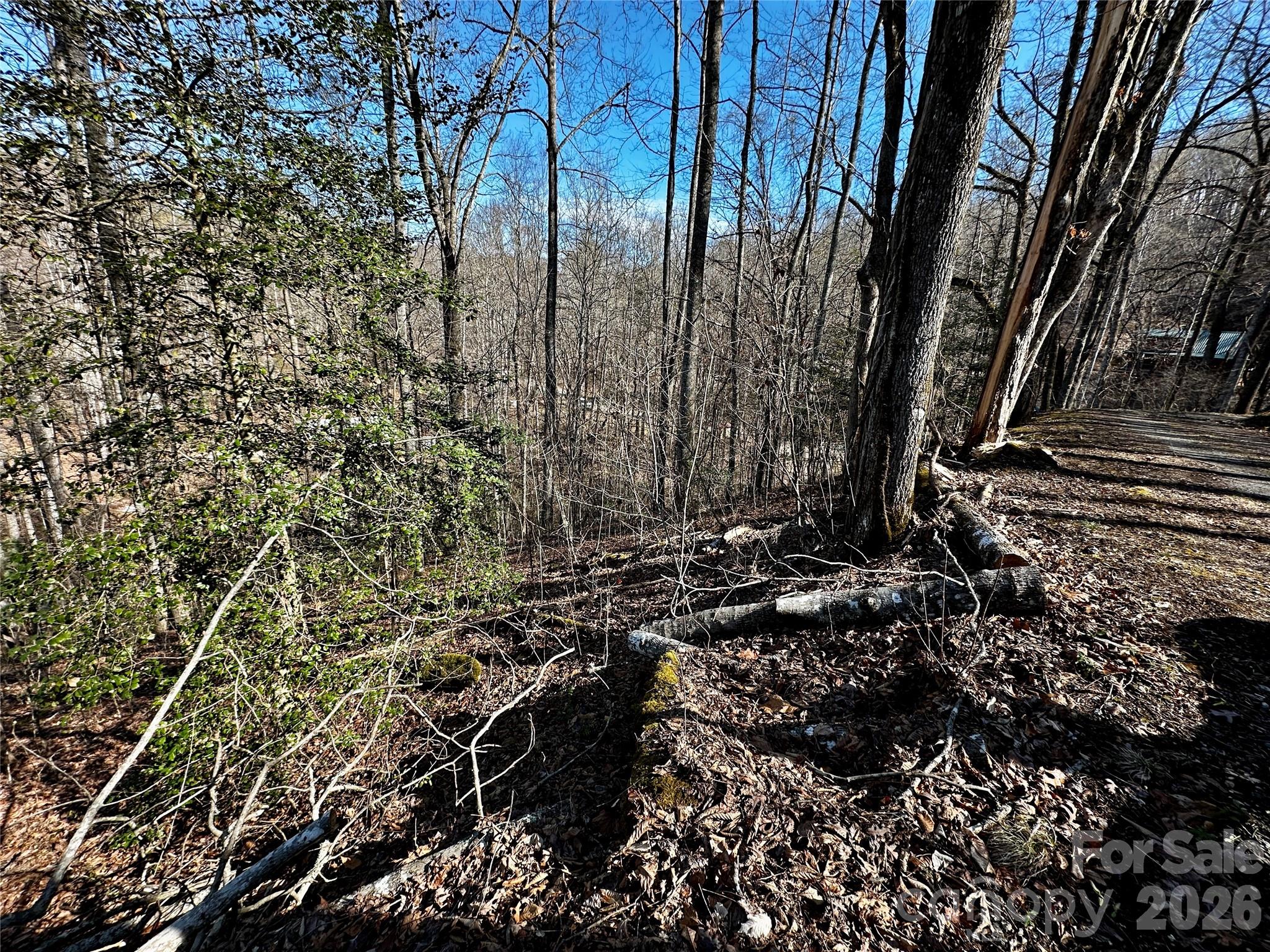 Blue Mist Mountain Estates - Land