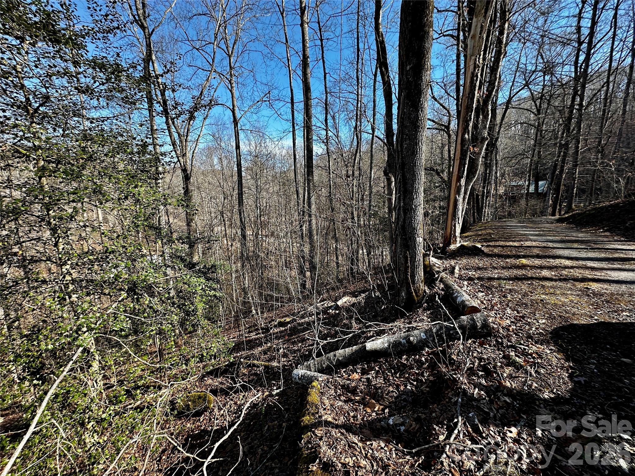 Blue Mist Mountain Estates - Land