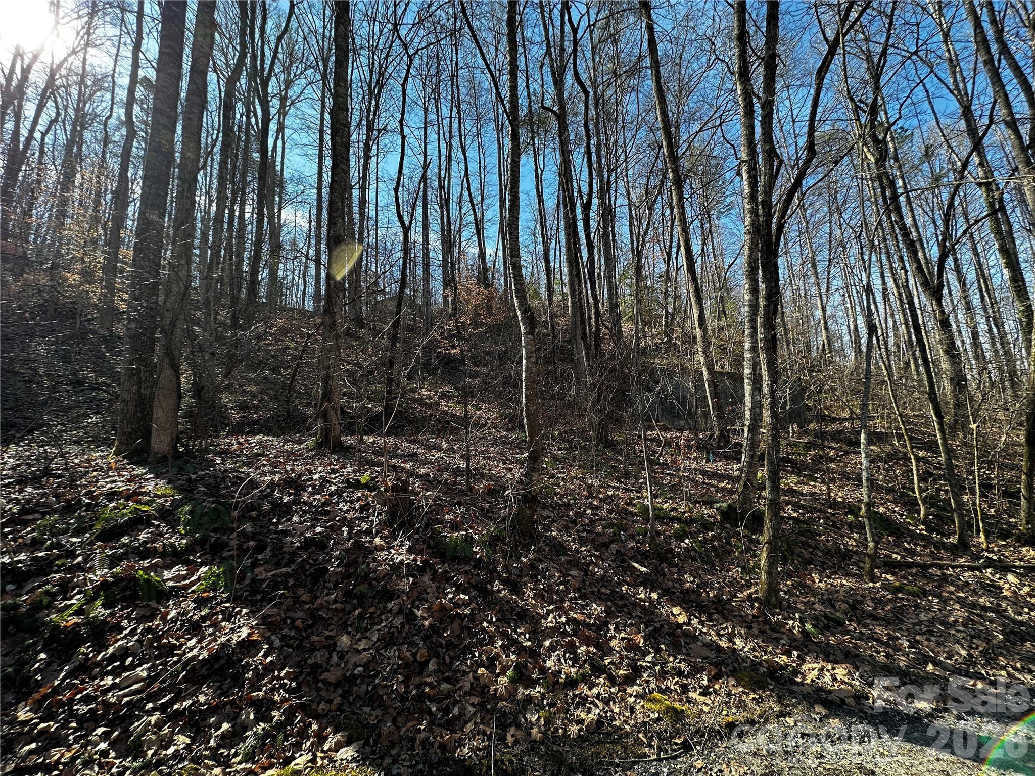 Blue Mist Mountain Estates - Land