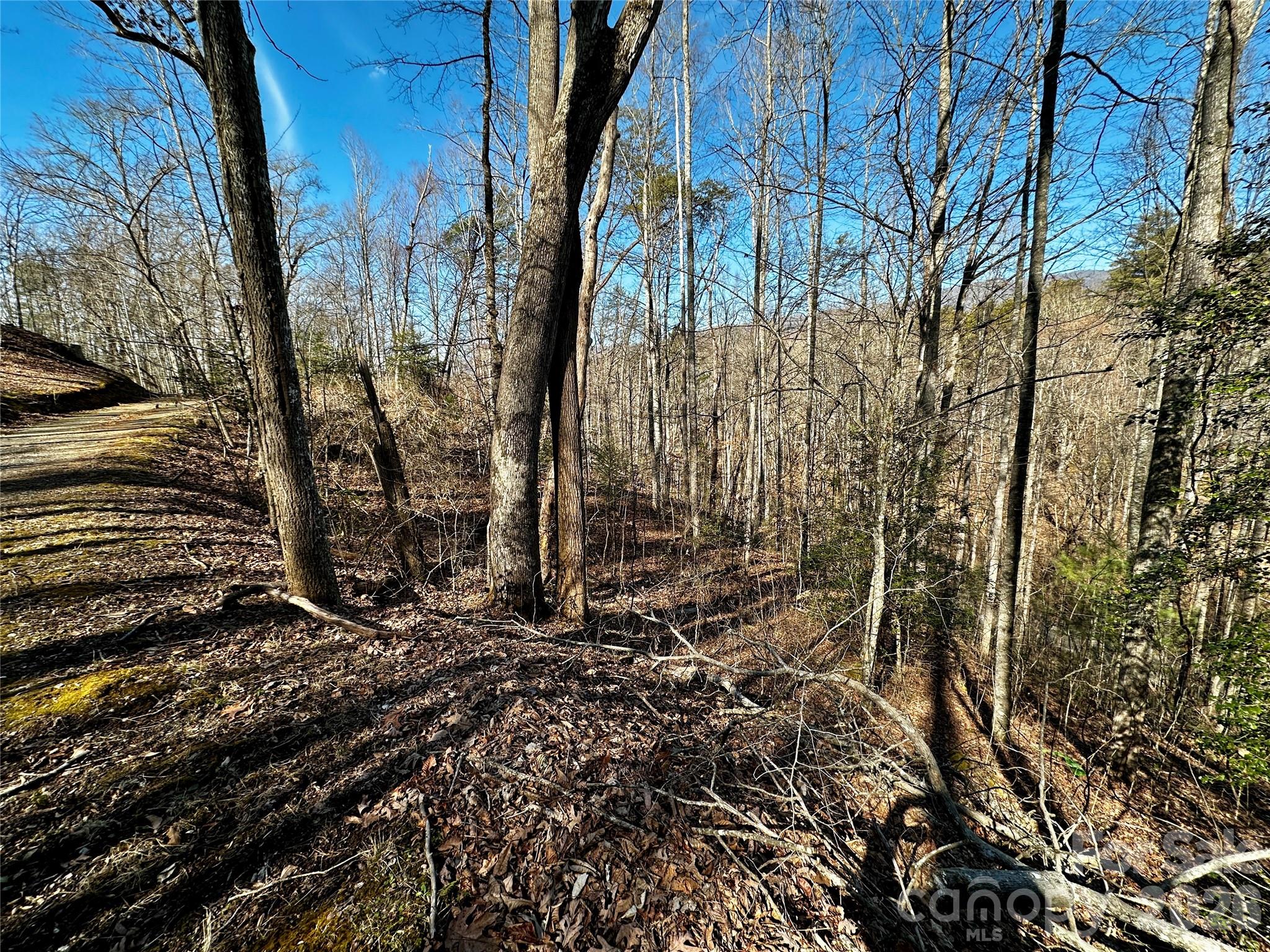 Blue Mist Mountain Estates - Land