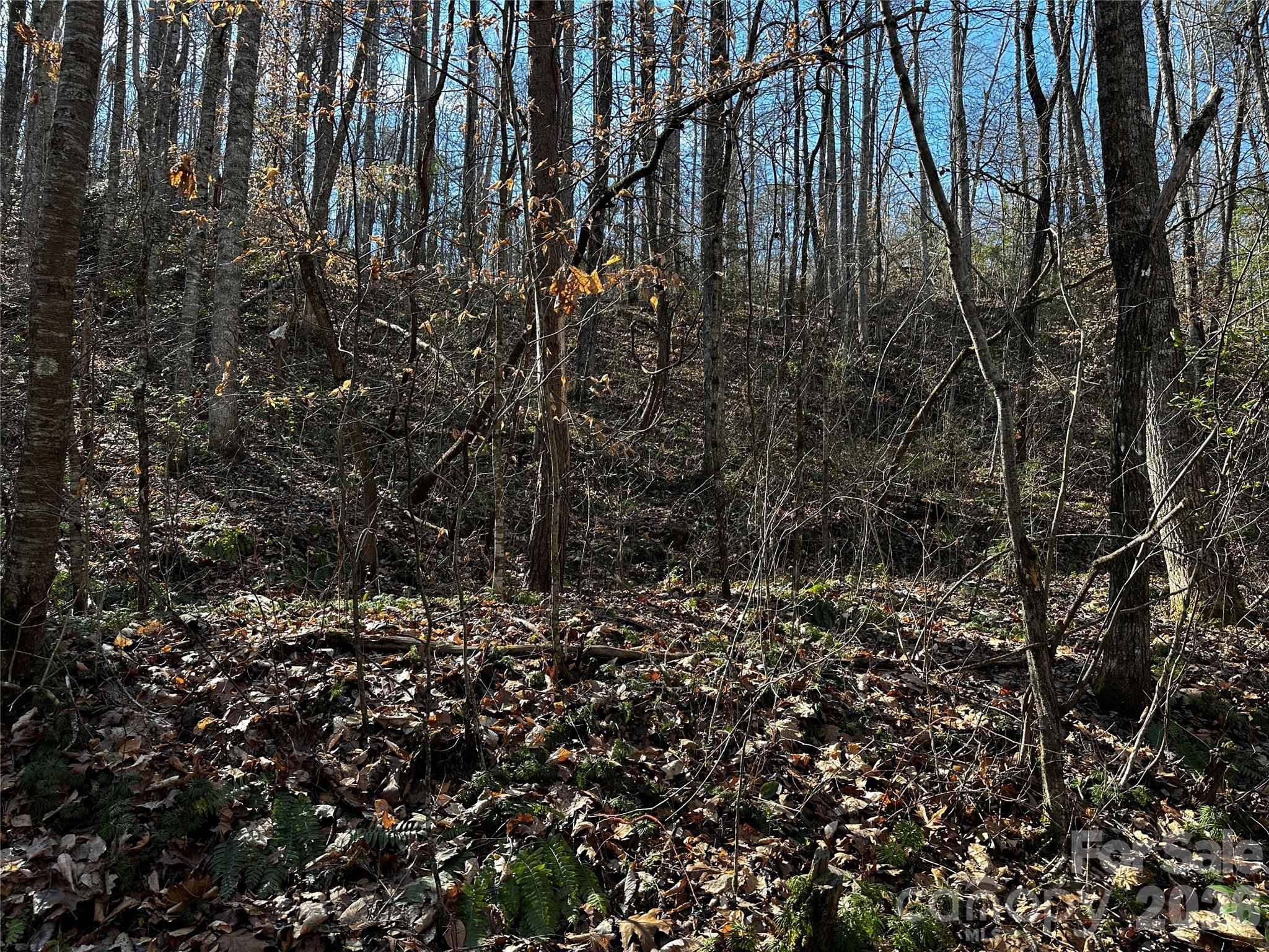 Blue Mist Mountain Estates - Land