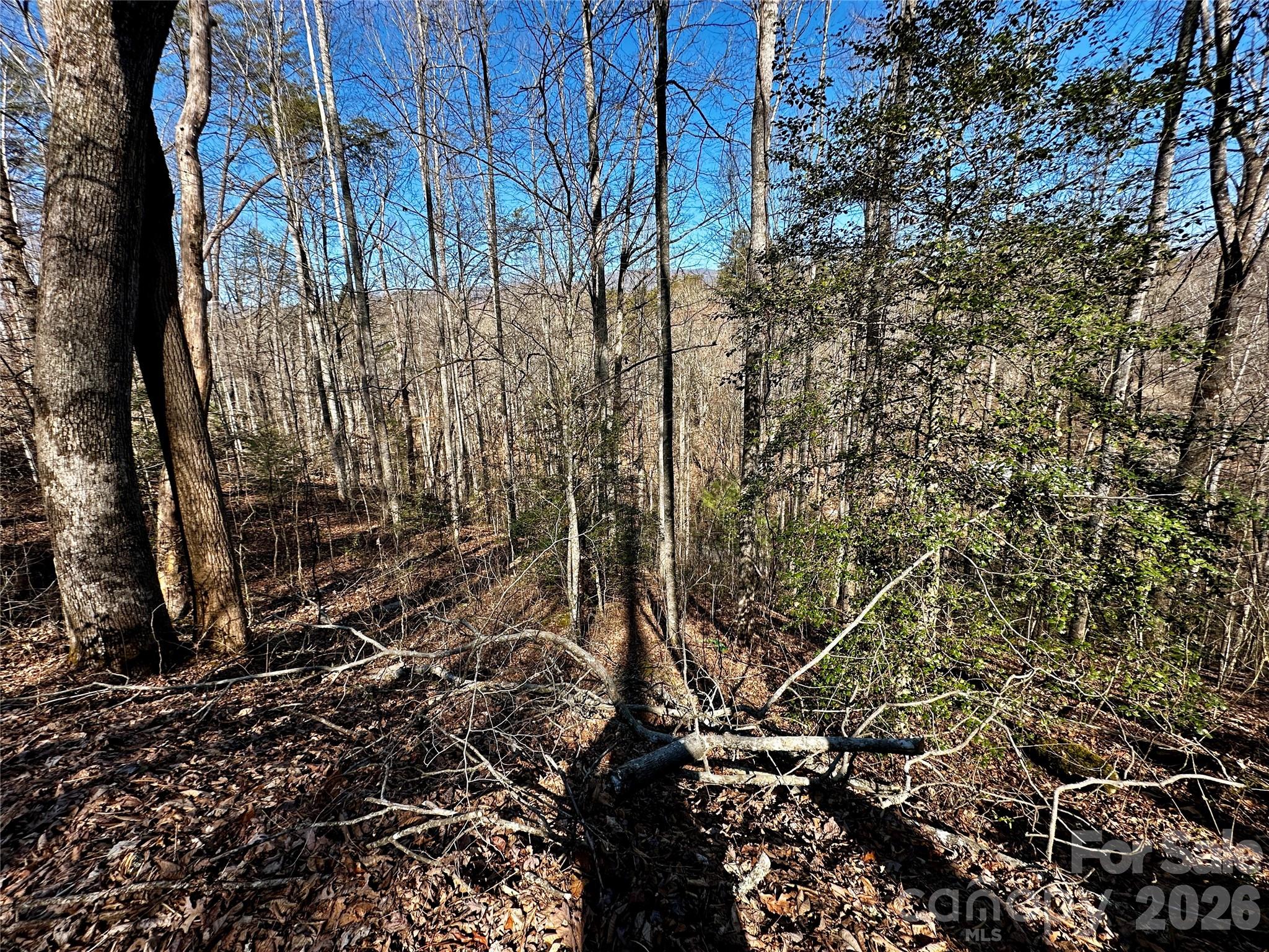 Blue Mist Mountain Estates - Land