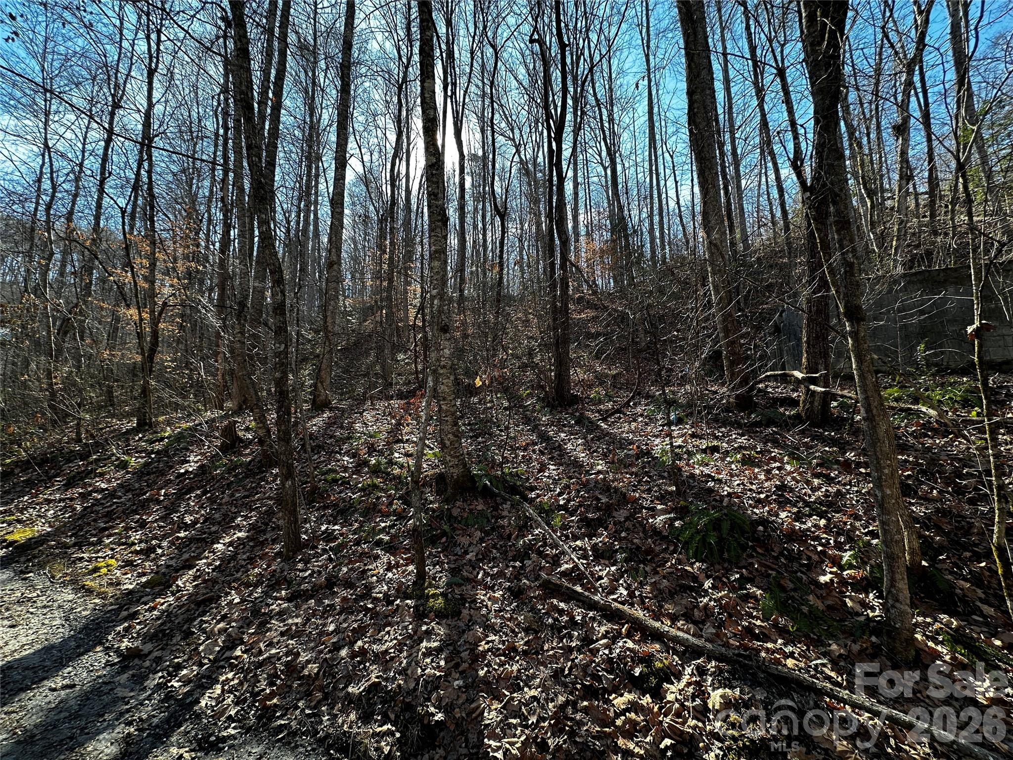 Lot 11 Blue Mist Mountain Road