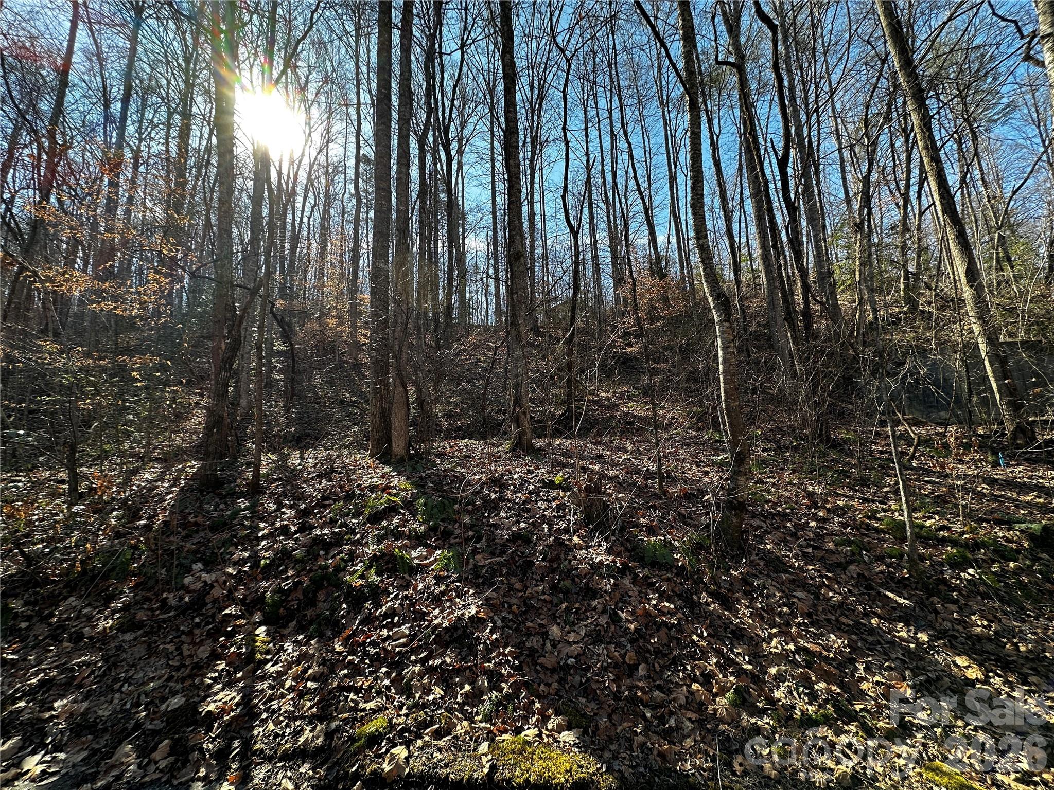 Blue Mist Mountain Estates - Land