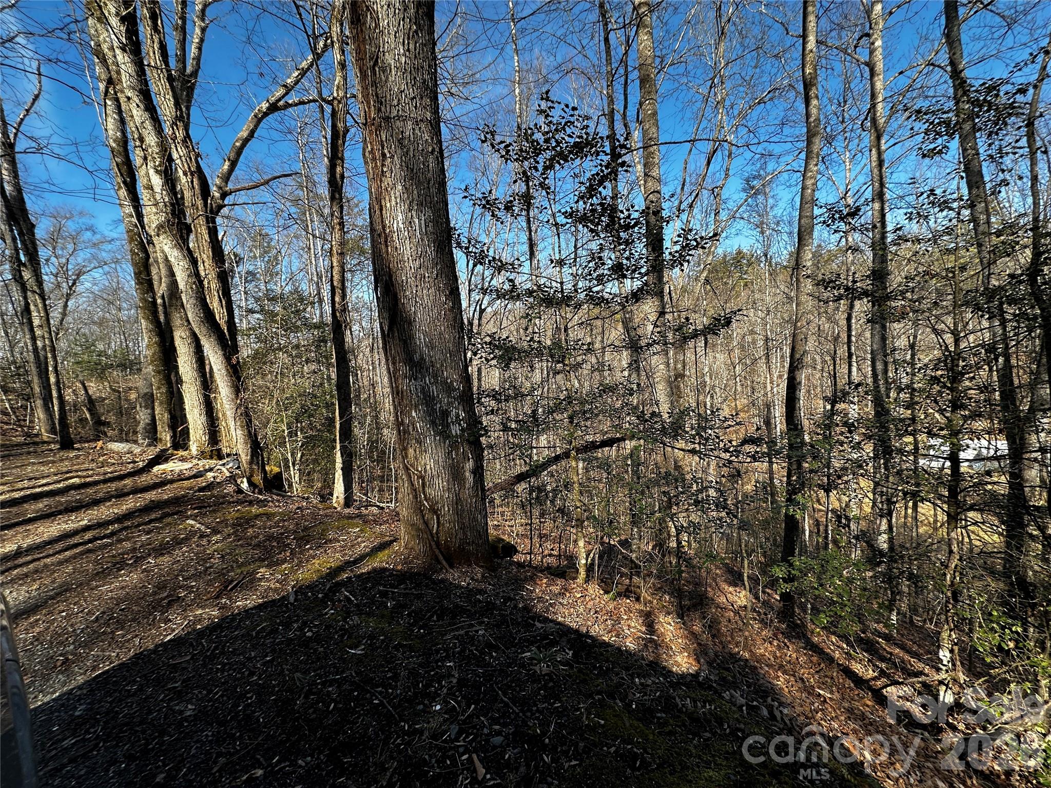 Blue Mist Mountain Estates - Land