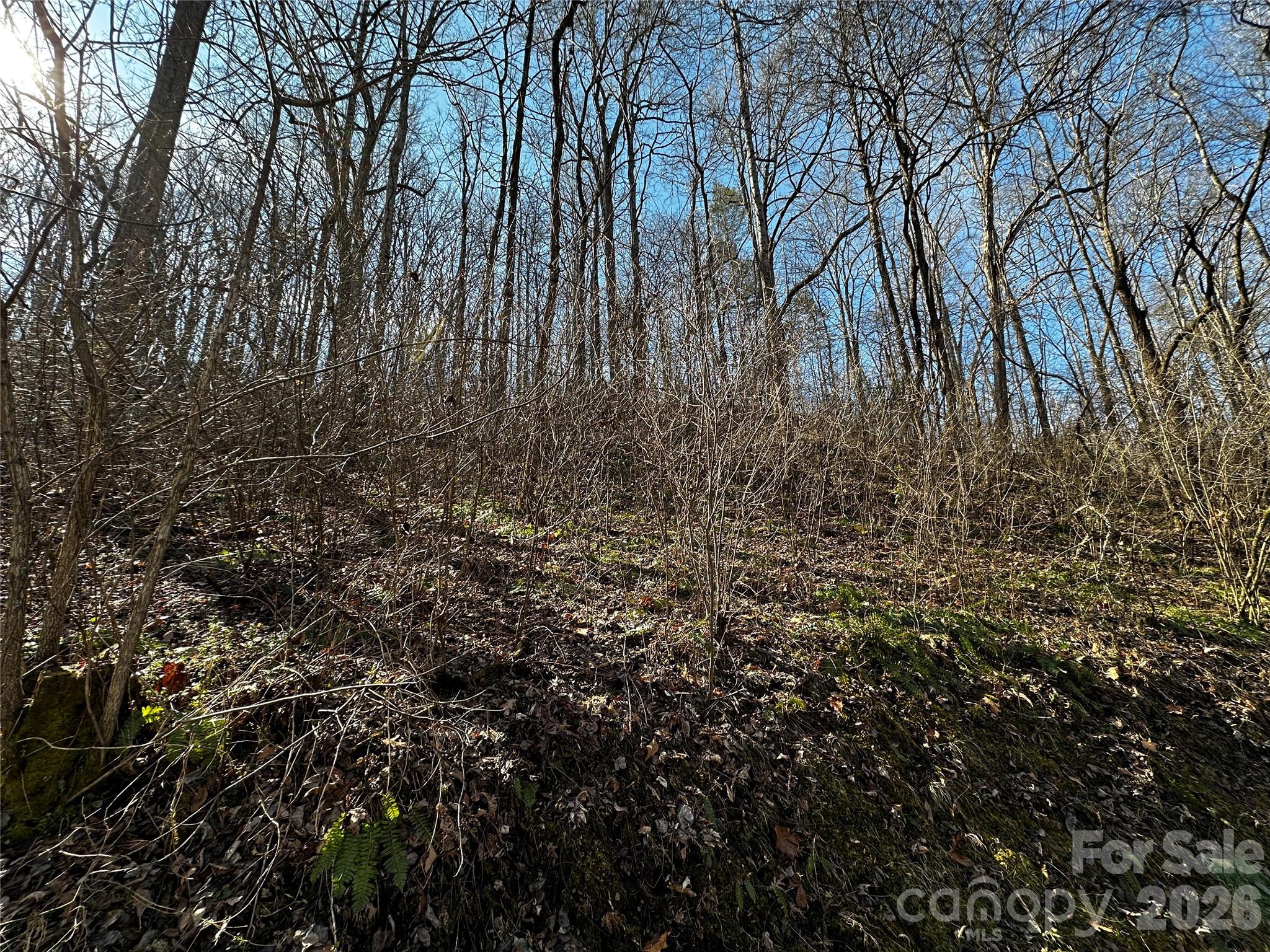 Blue Mist Mountain Estates - Land