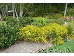 Mountain Brook - Land