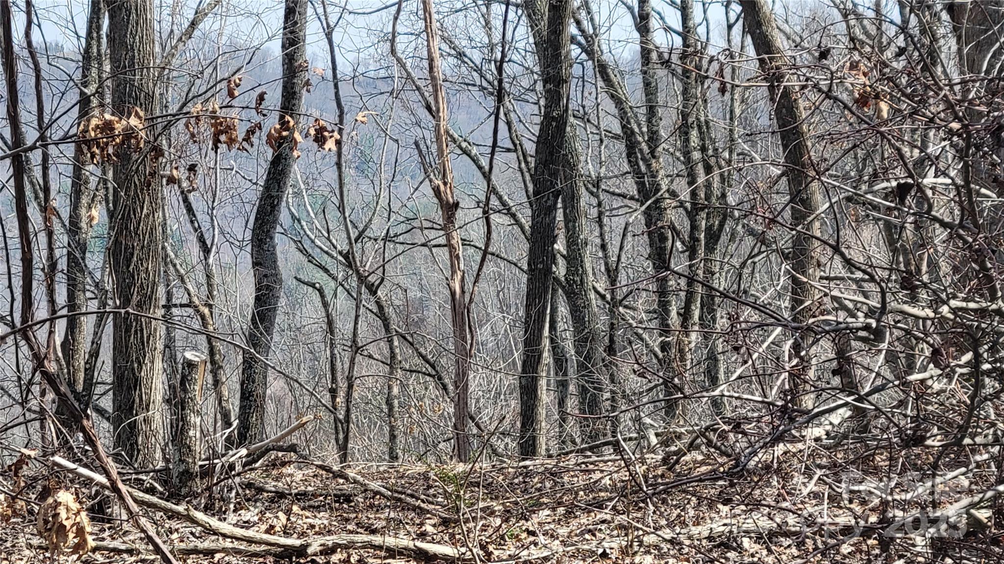 Moonshine Mountain - Land