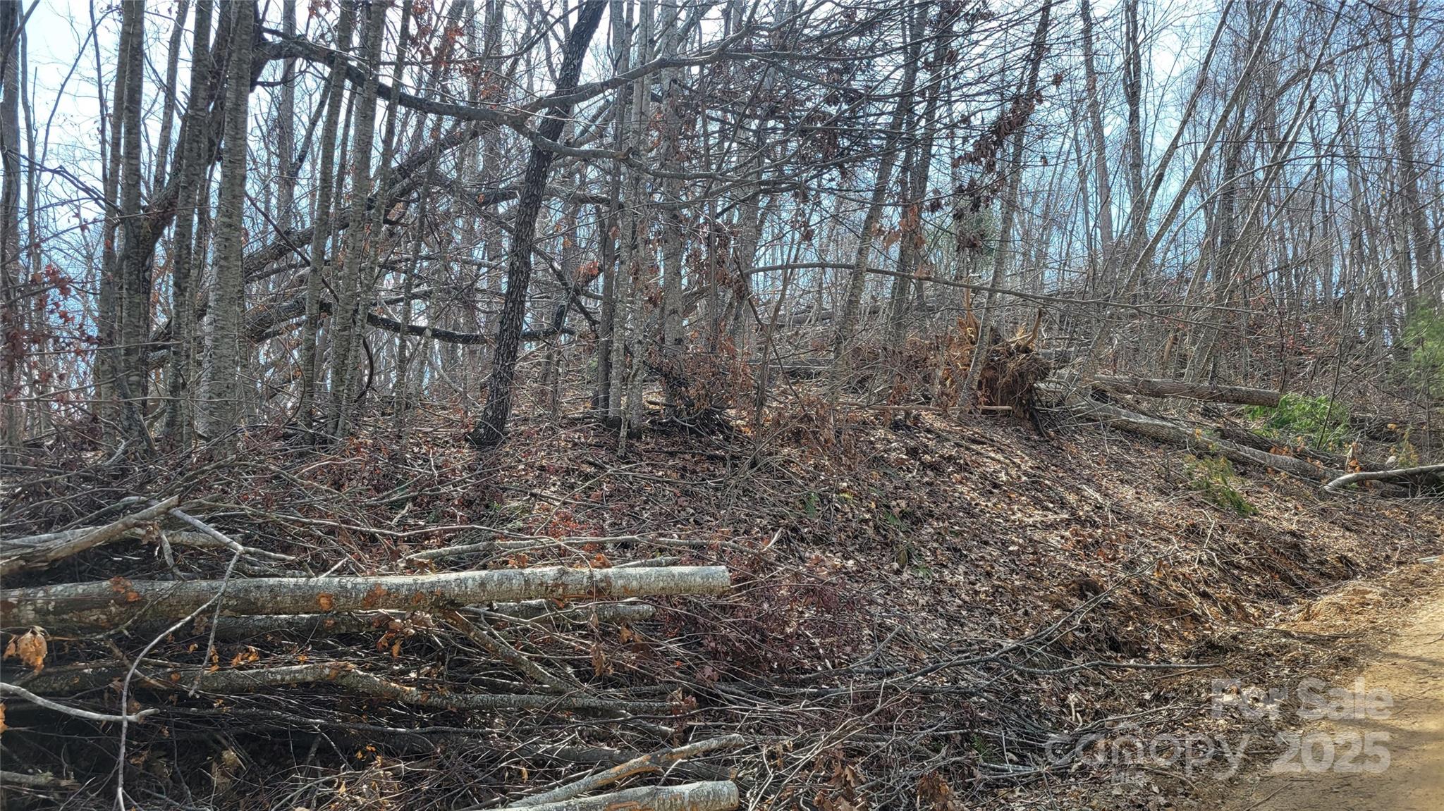 Moonshine Mountain - Land