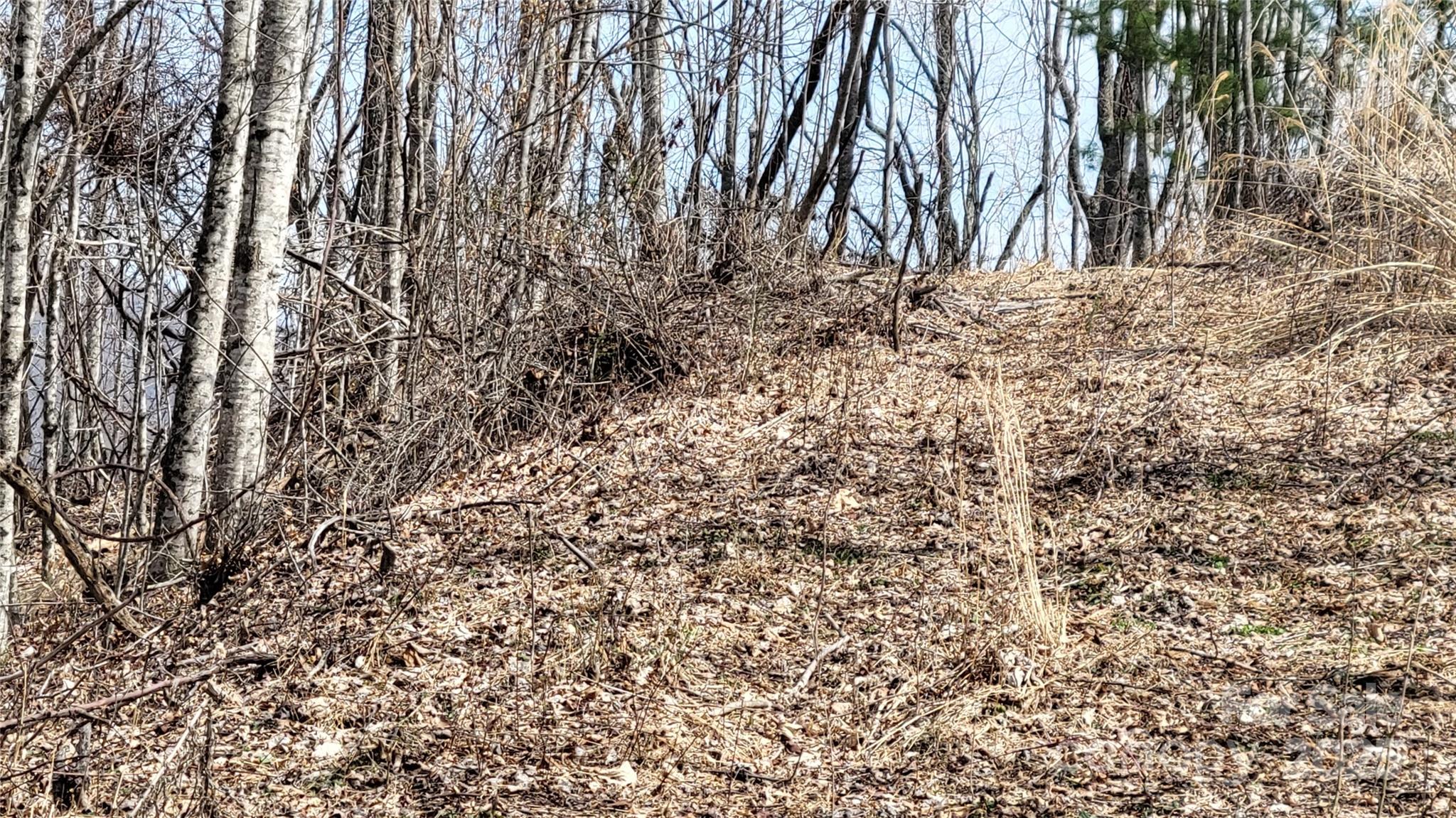 Moonshine Mountain - Land