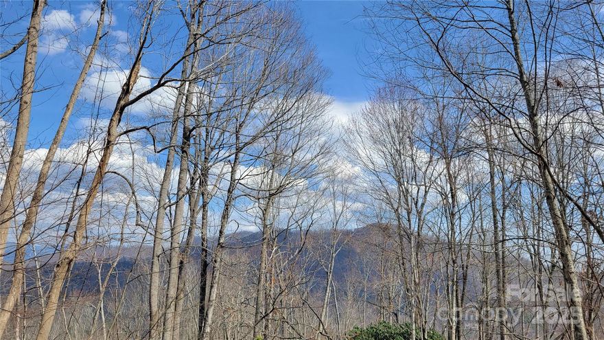 Build your dream home on this serene, 2,2 acre wooded lot offering breathtaking mountain views and essential infrastructure already in place. Located just 15 minutes from town, this property combines privacy and convenience—ideal for a full-time residence, vacation getaway, or investment. Priced at tax value. The best access to the property is at the upper portion of the property by staying on Joslin Ln.