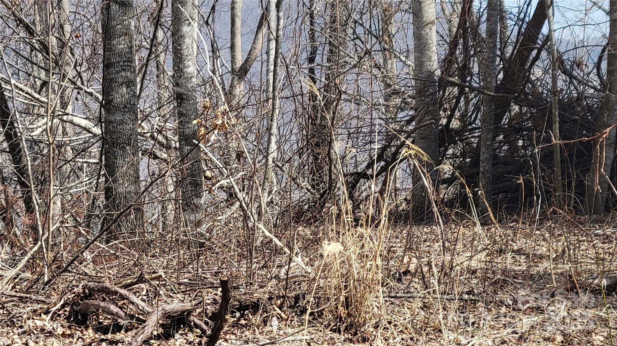 Moonshine Mountain - Land
