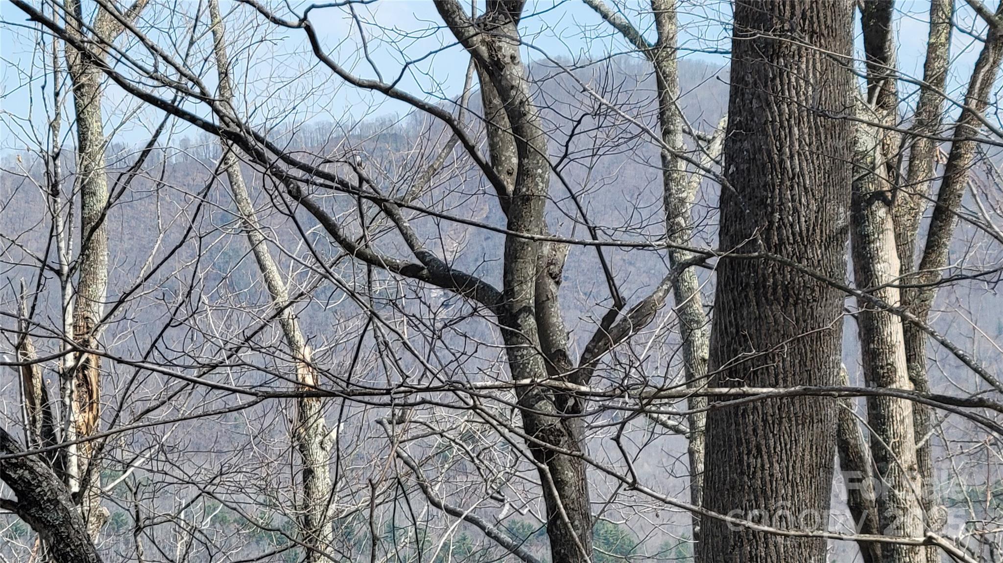 Moonshine Mountain - Land