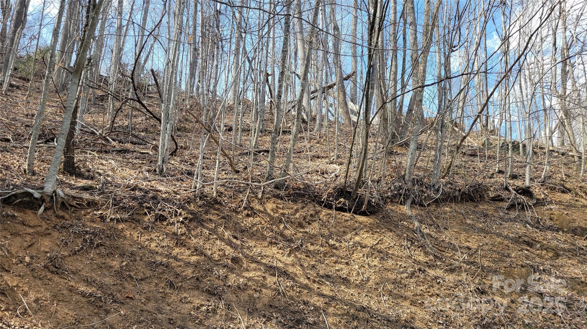 Moonshine Mountain - Land