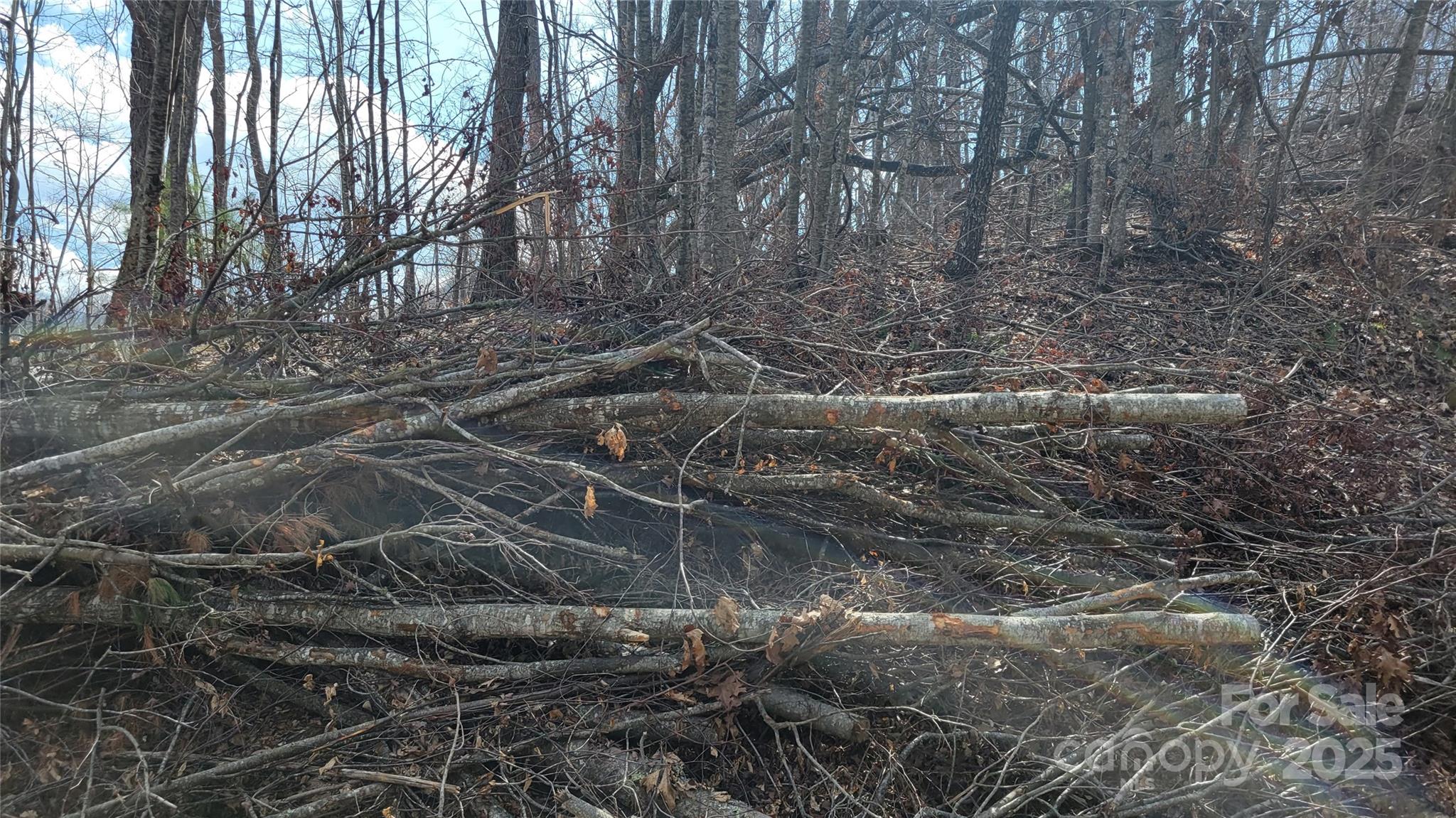 Moonshine Mountain - Land
