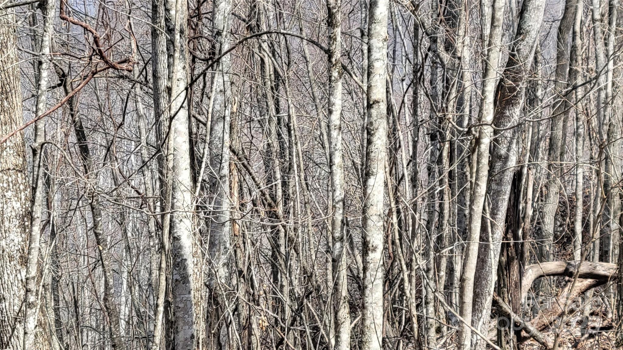 Moonshine Mountain - Land