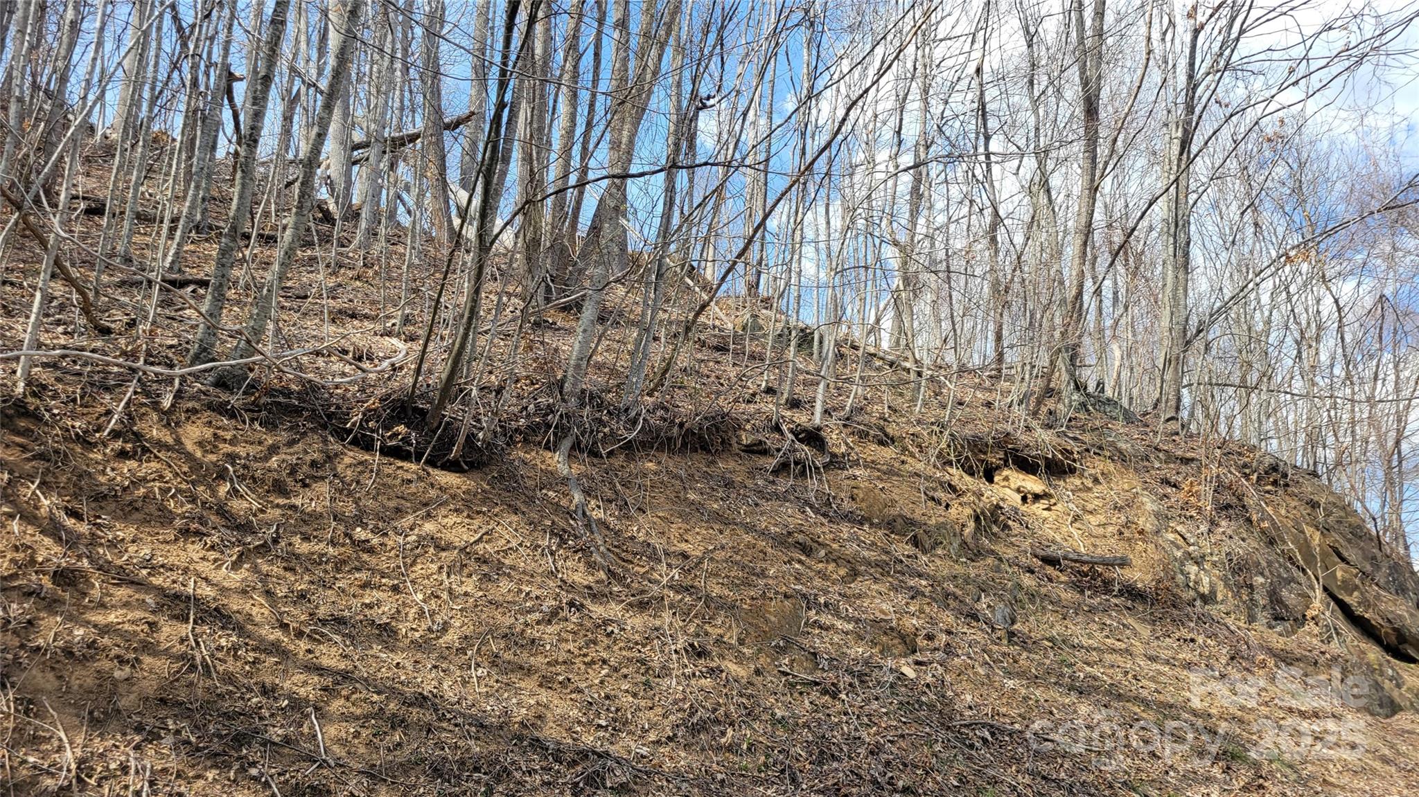 Moonshine Mountain - Land