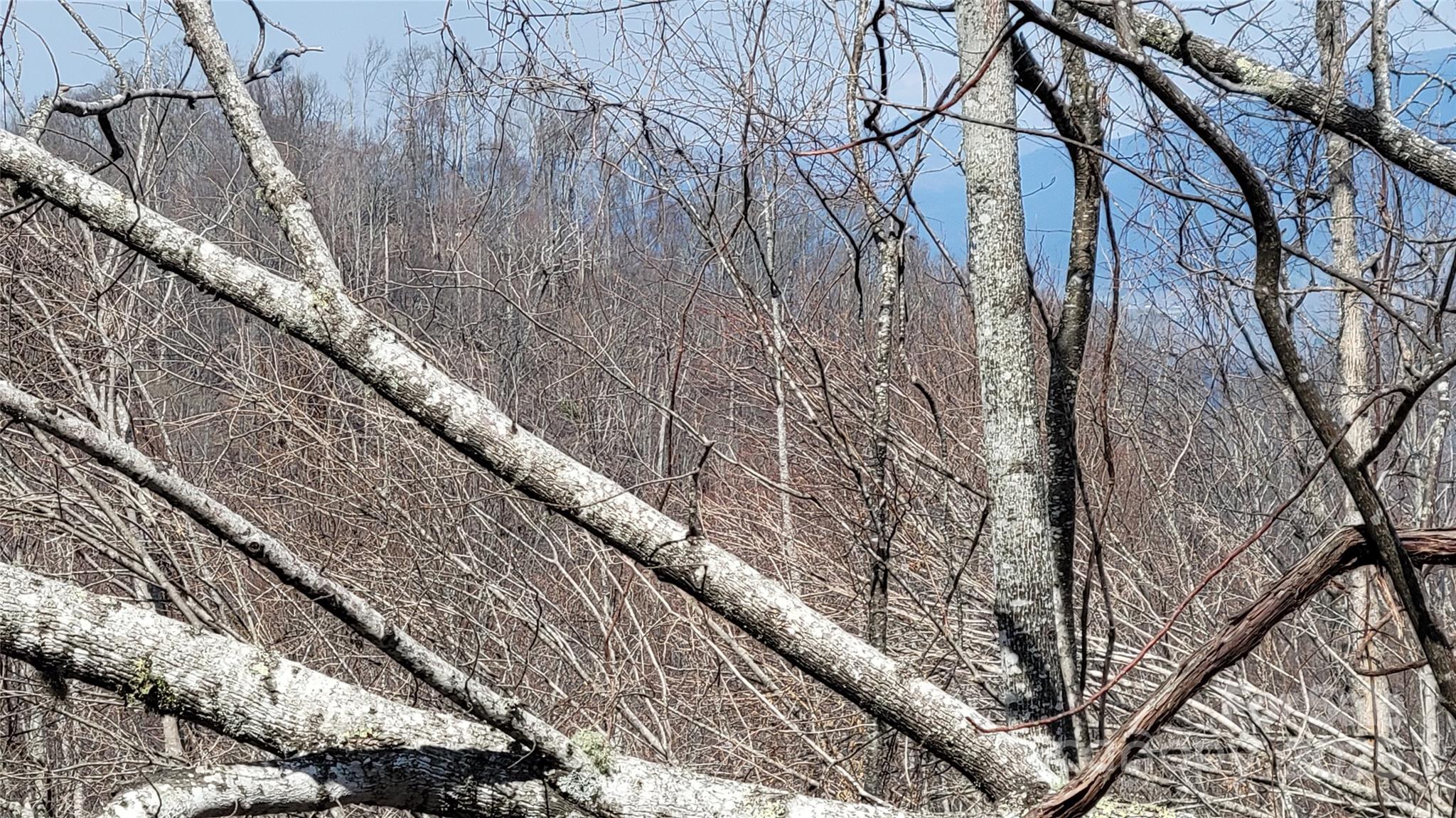 Moonshine Mountain - Land