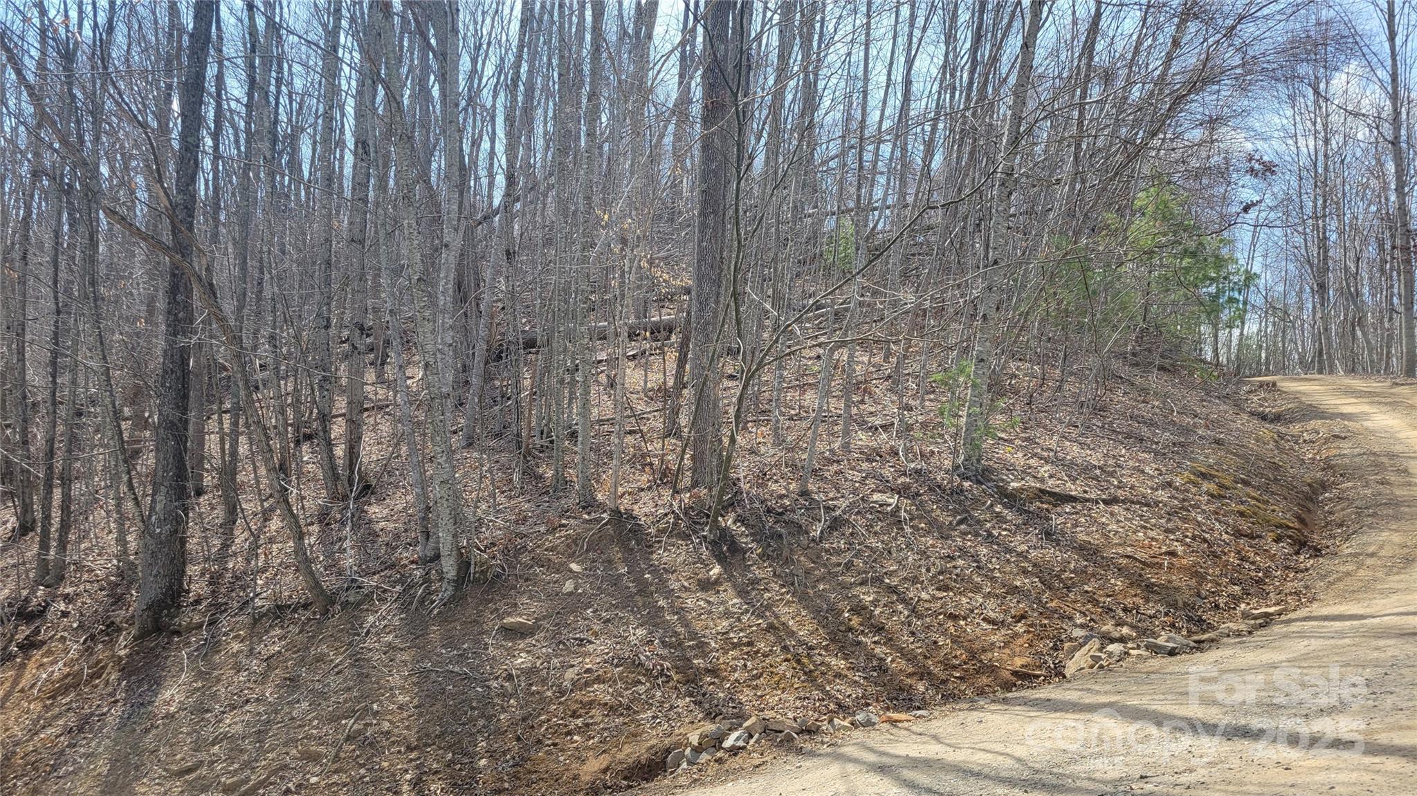 Moonshine Mountain - Land