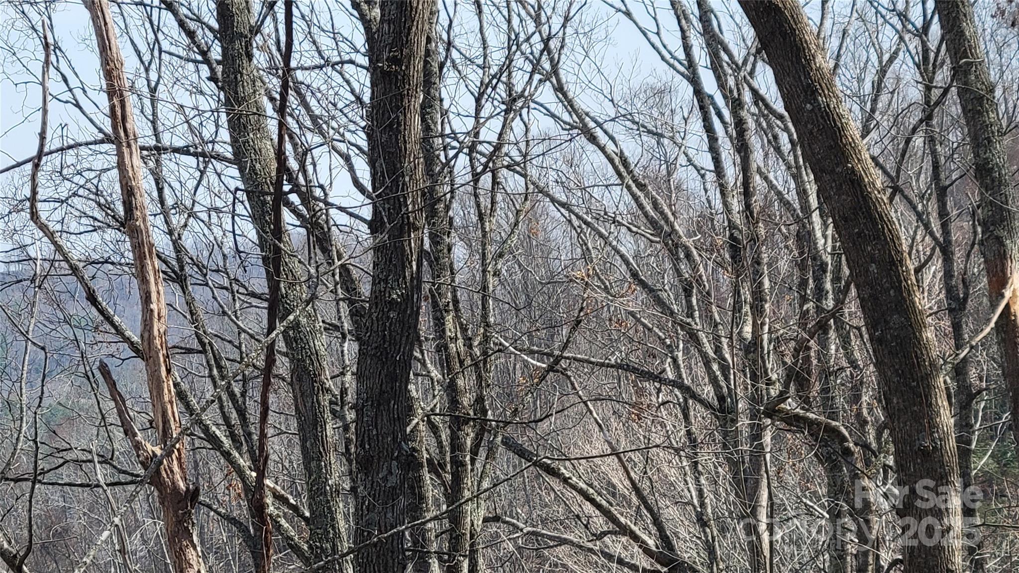 Moonshine Mountain - Land