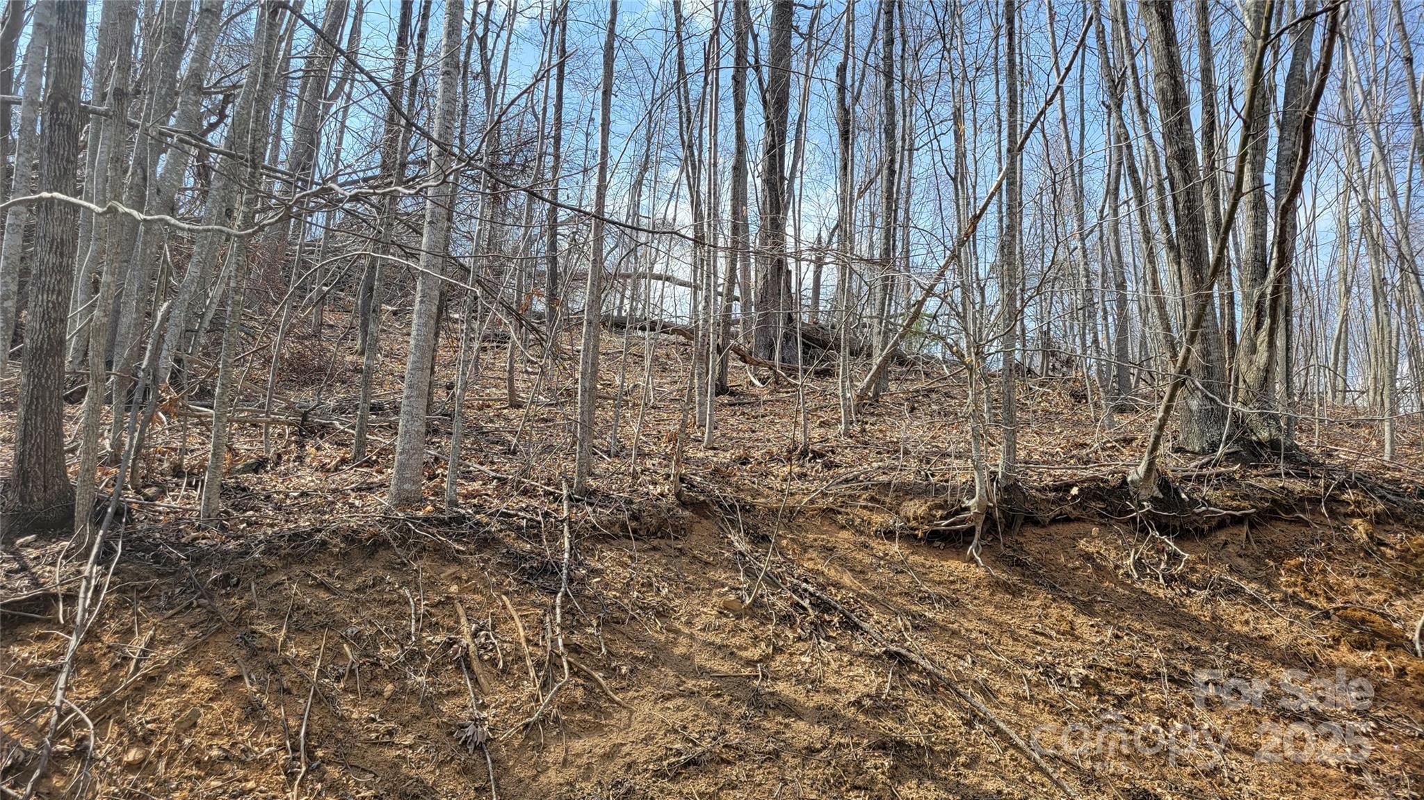 Moonshine Mountain - Land