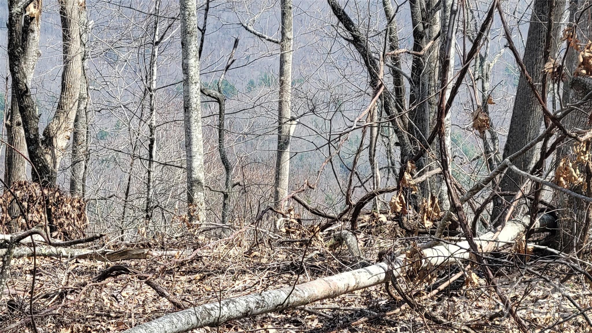 Moonshine Mountain - Land