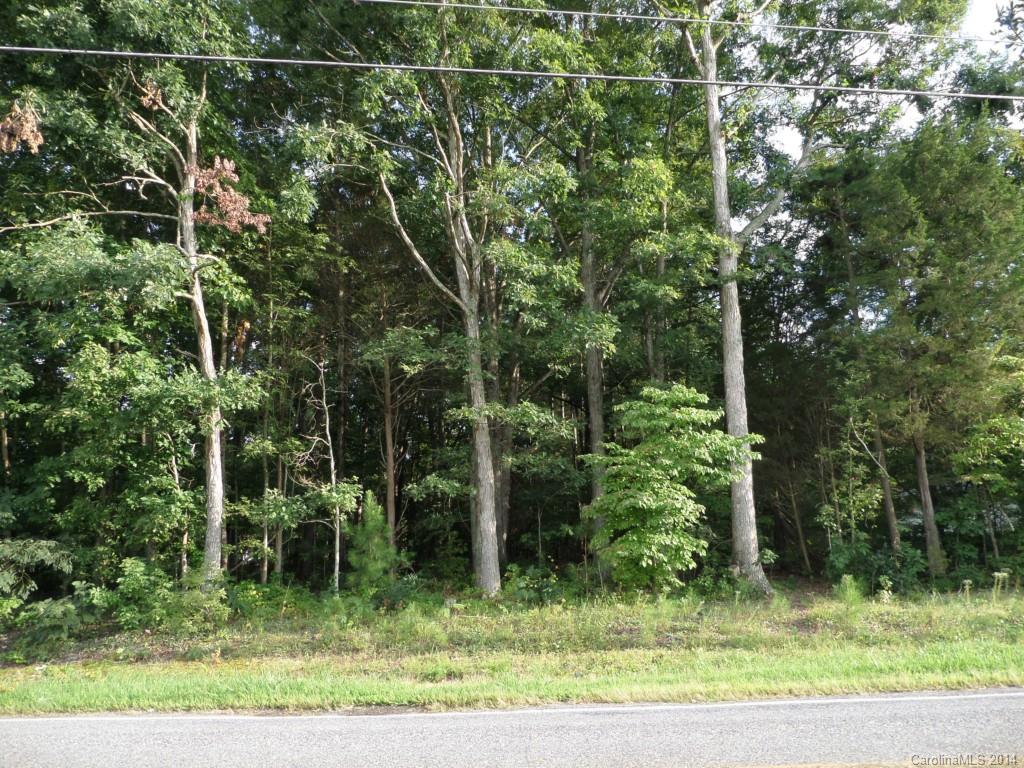 Rollingwood Forest - Land