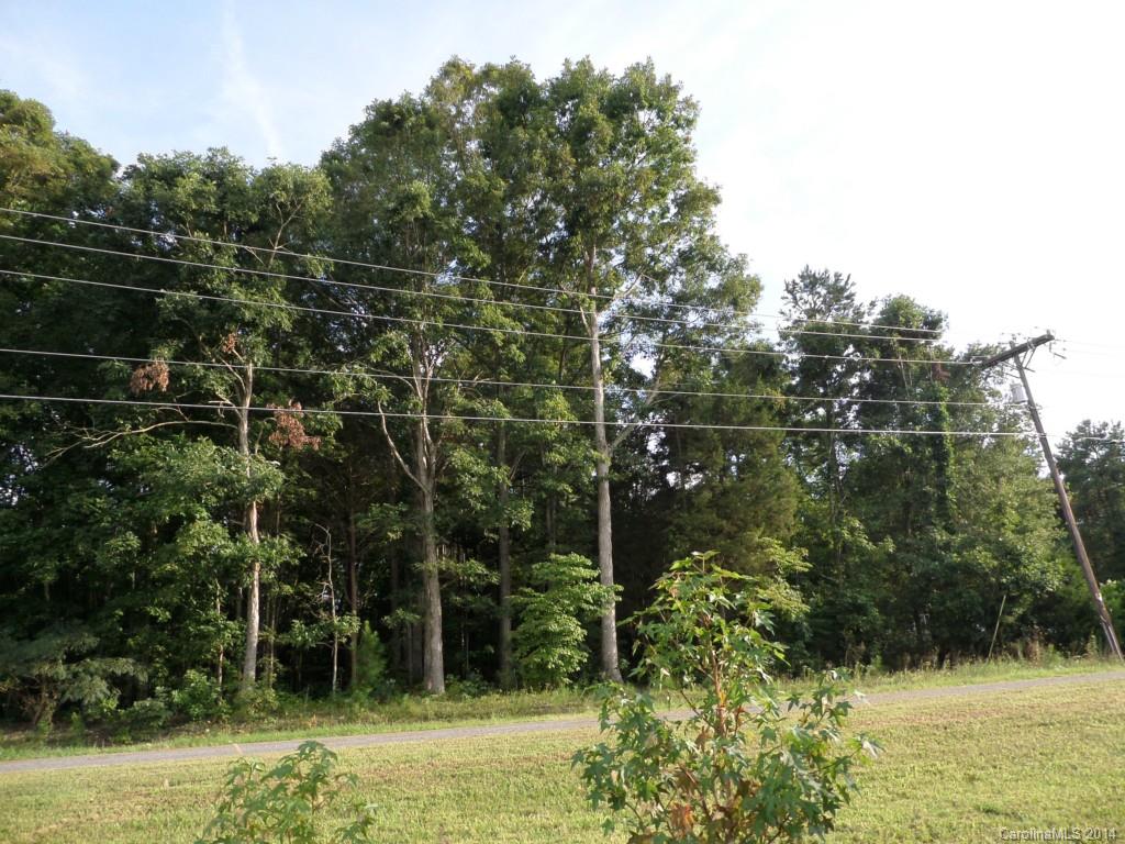 Rollingwood Forest - Land