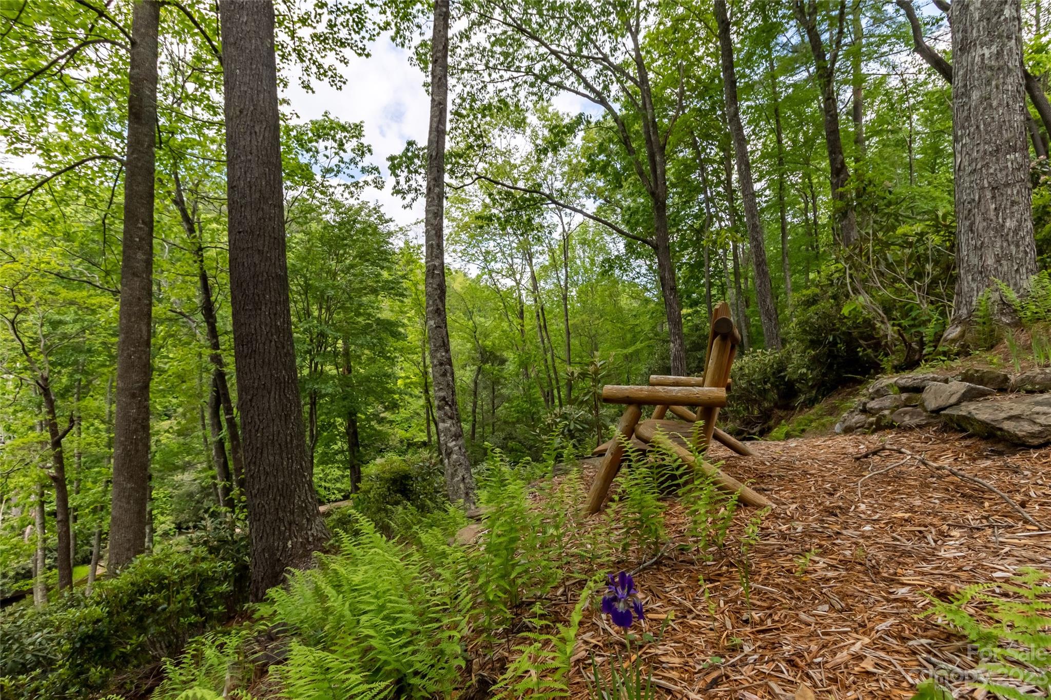 Burlingame - Residential