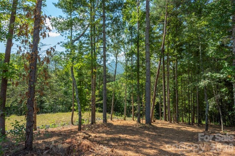 Photo of 149 Riverbend Forest Drive #6, Asheville, NC 28805 (MLS # 4405693)