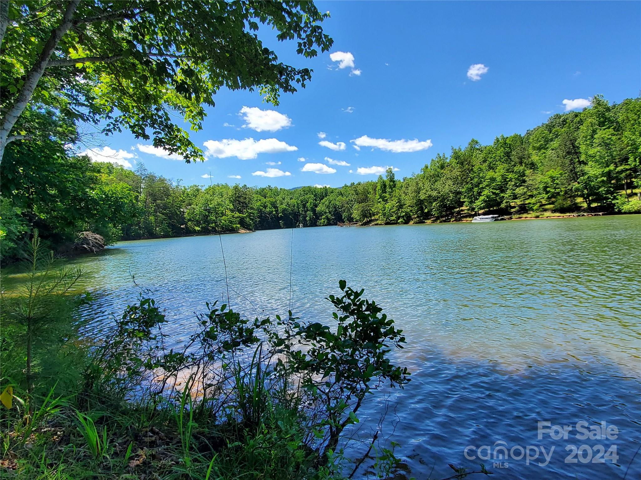 Mountain Park at Lake Adger - Residential