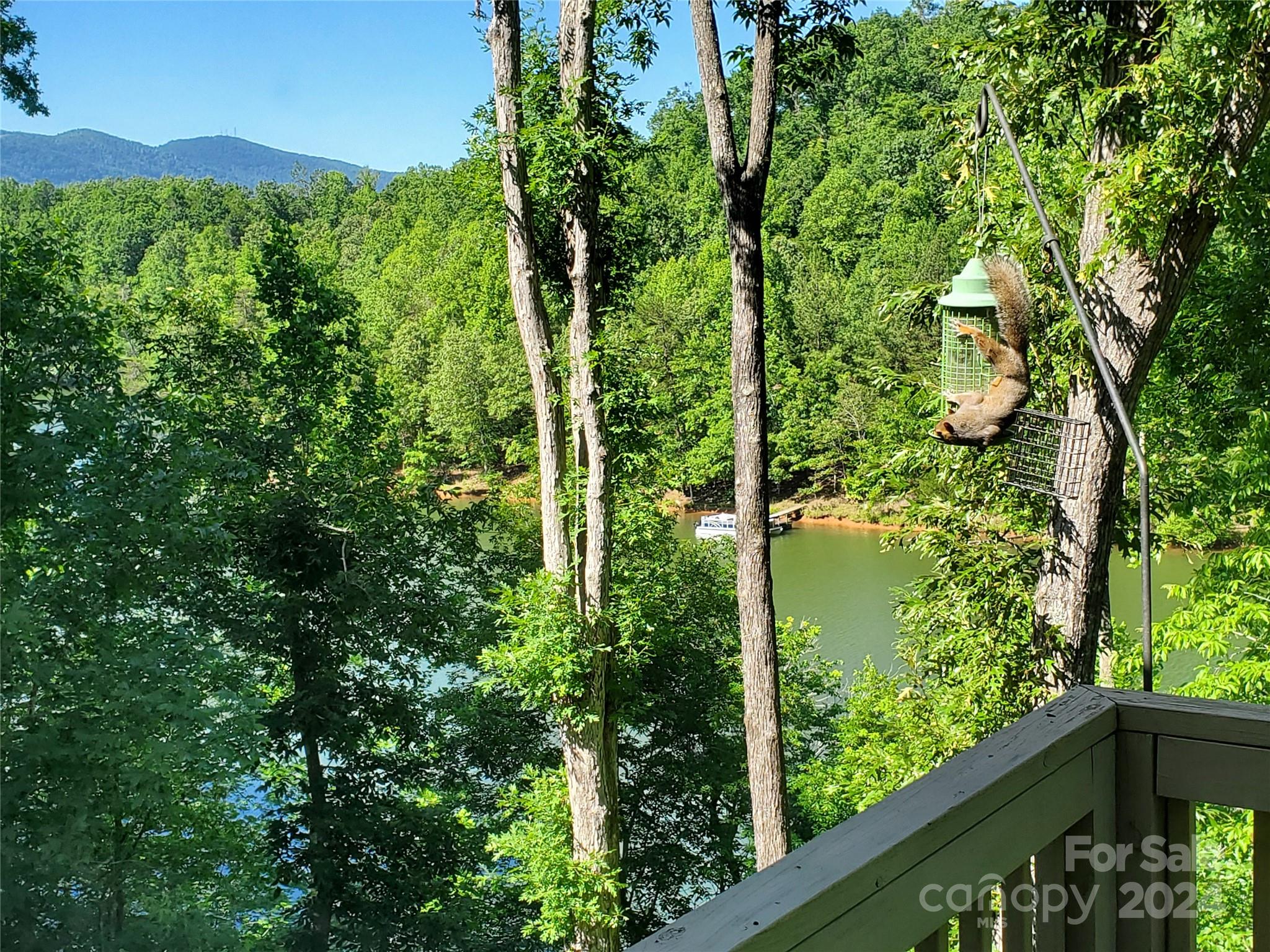 Mountain Park at Lake Adger - Residential