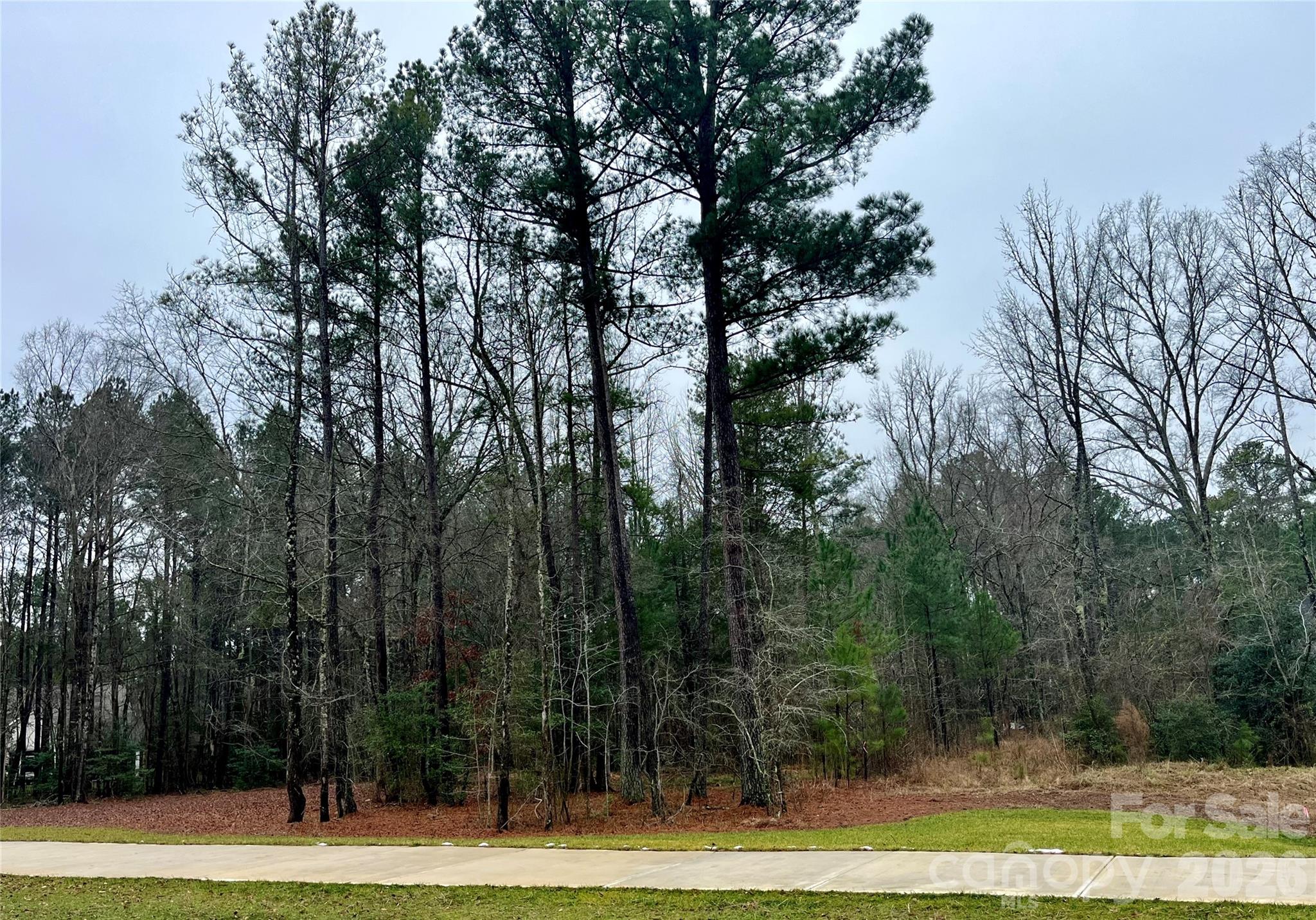 Riverchase Estates - Land