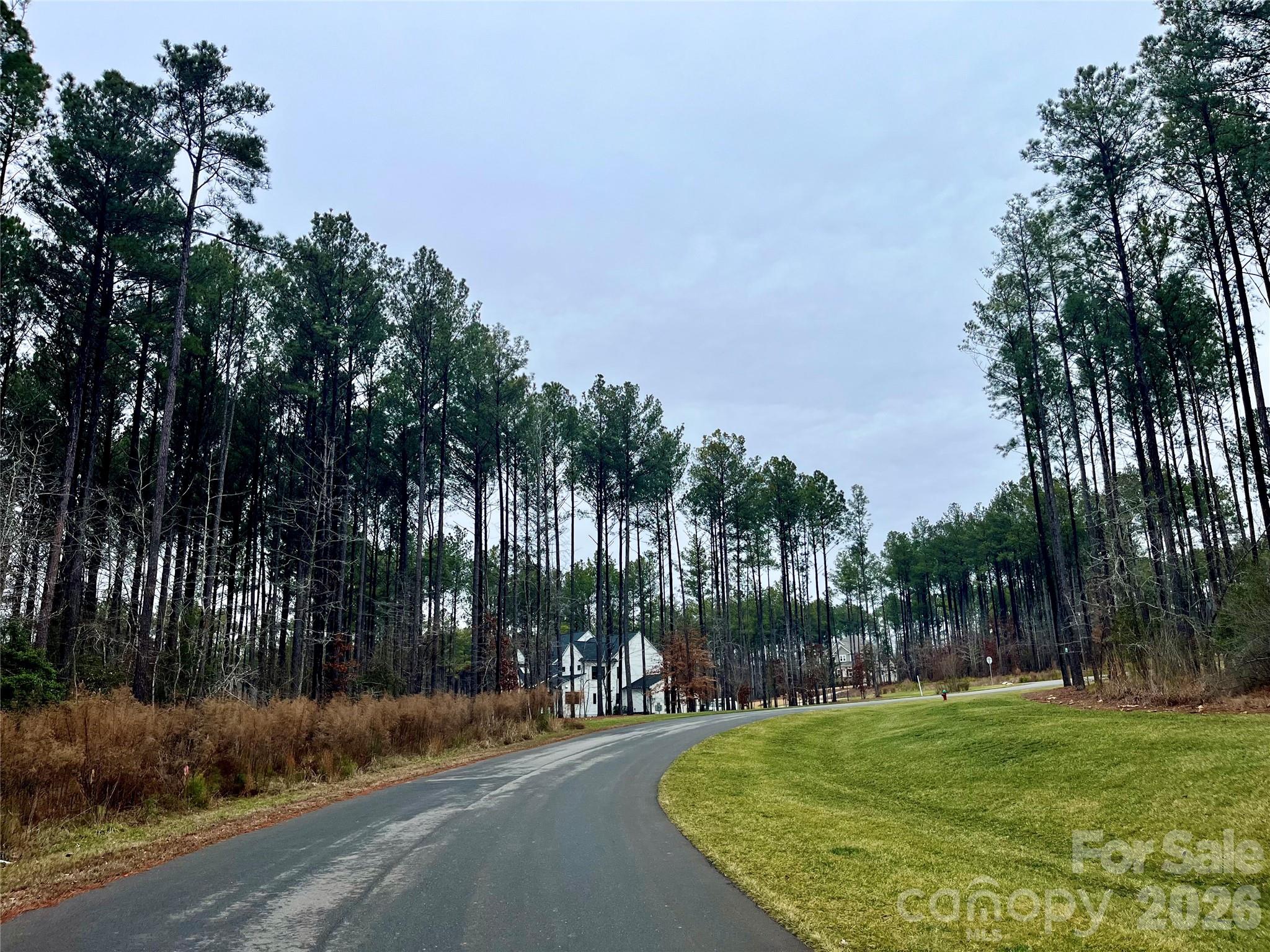 Riverchase Estates - Land