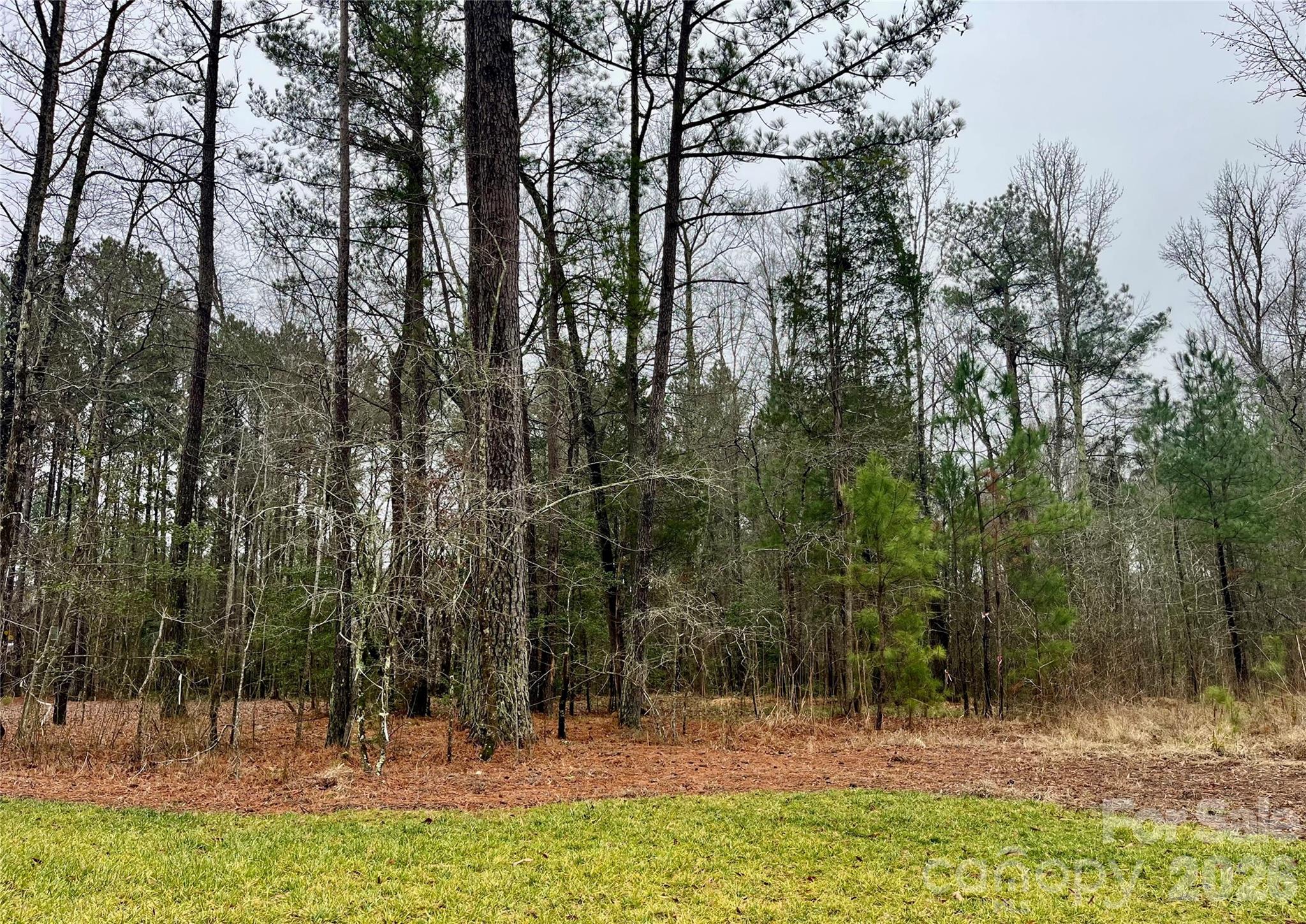 Riverchase Estates - Land