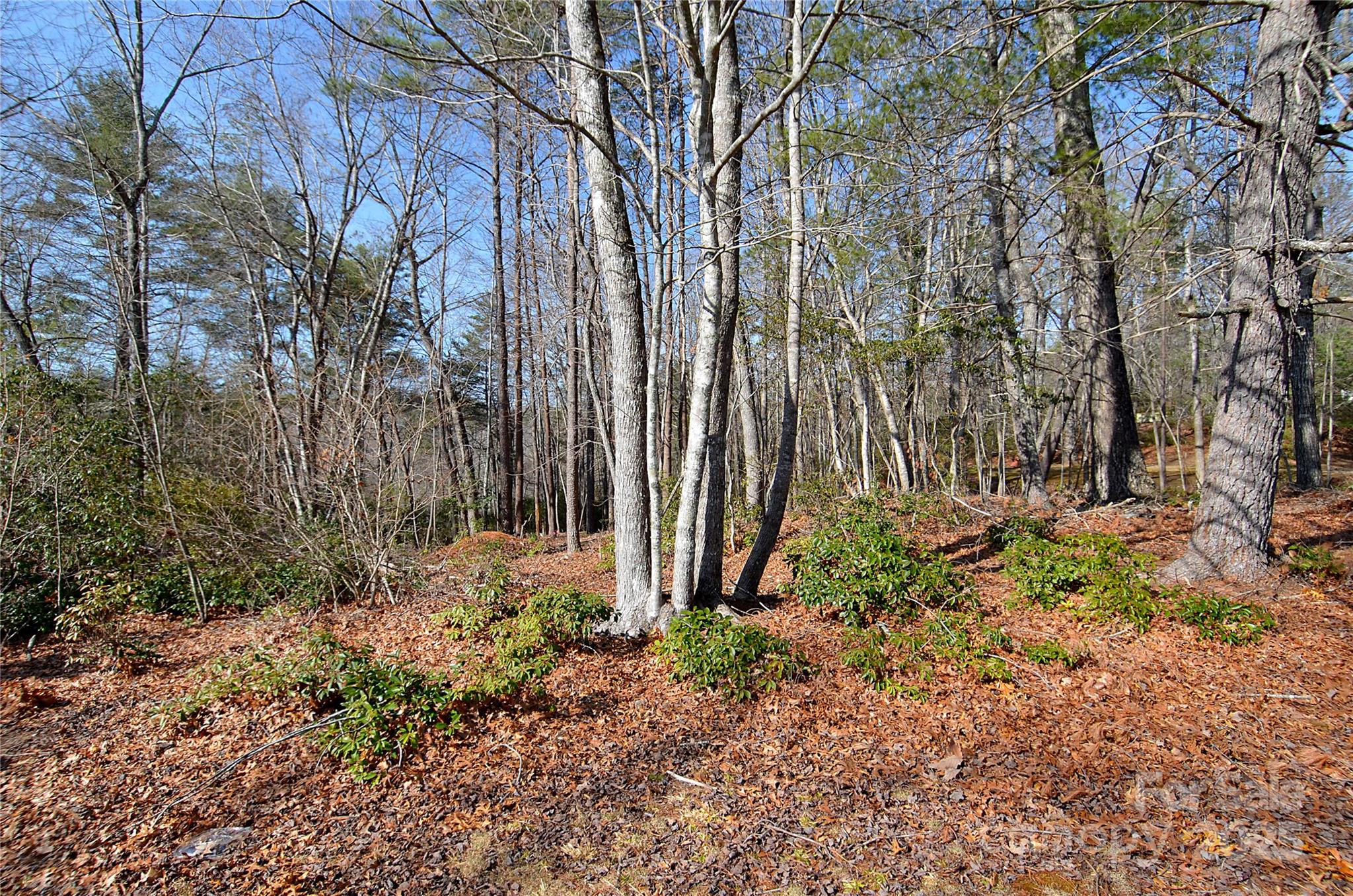 961 Deep Woods Drive