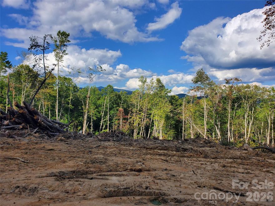 Convenient 1.017 acre lot with the possibly of a hook up to town water.  Lays level to rolling and is located in a neighborhood that has price of ownership. Just a short drive to the quant town of Spruce Pine that offers eclectic shops, restaurants and intimate venues with live music. There are a variety of activities nearby such as kayaking, hiking trails, several Gem Mines, biking and picnicking on the Blue Ridge Parkway. There are several waterfalls nearby to explore and this lot is within minutes to Grassy Creek Golf Course. You can be to Asheville, Boone or Johnson City TN within an hours drive. (No Mobile Homes allowed)