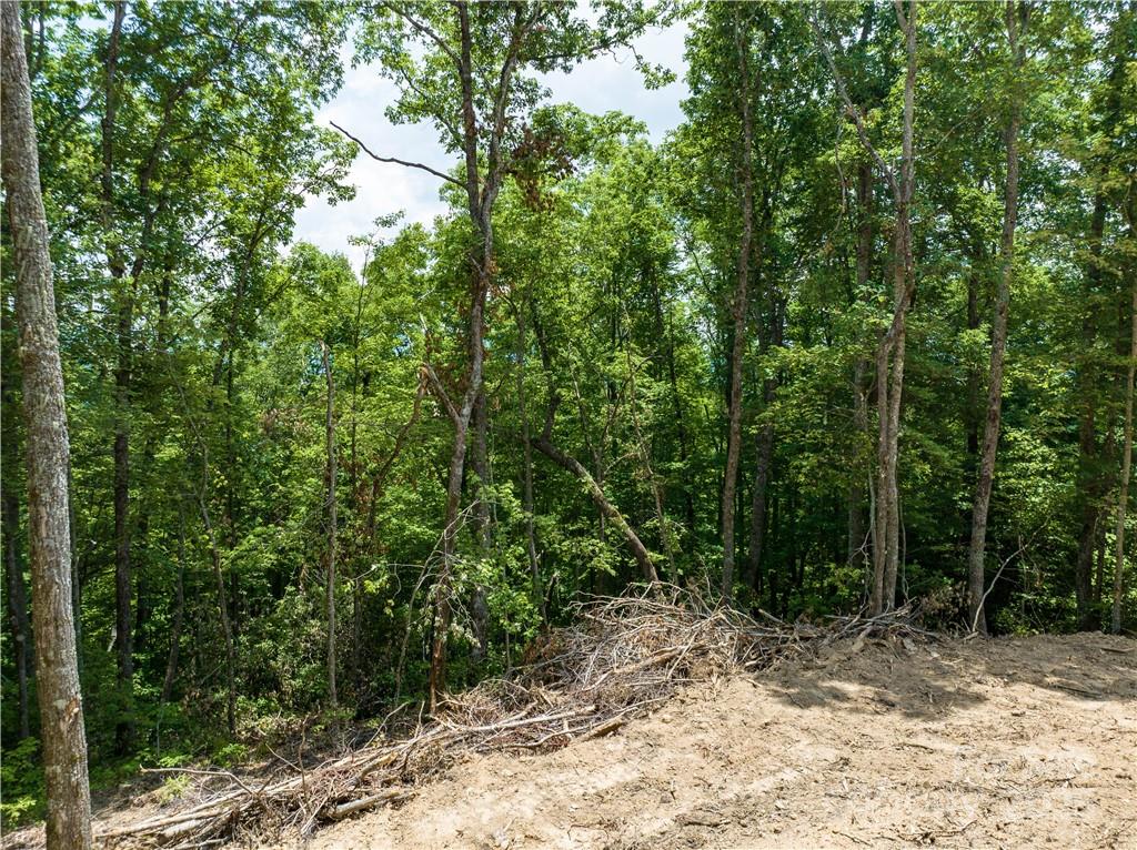 Sylva Vista Development - Land