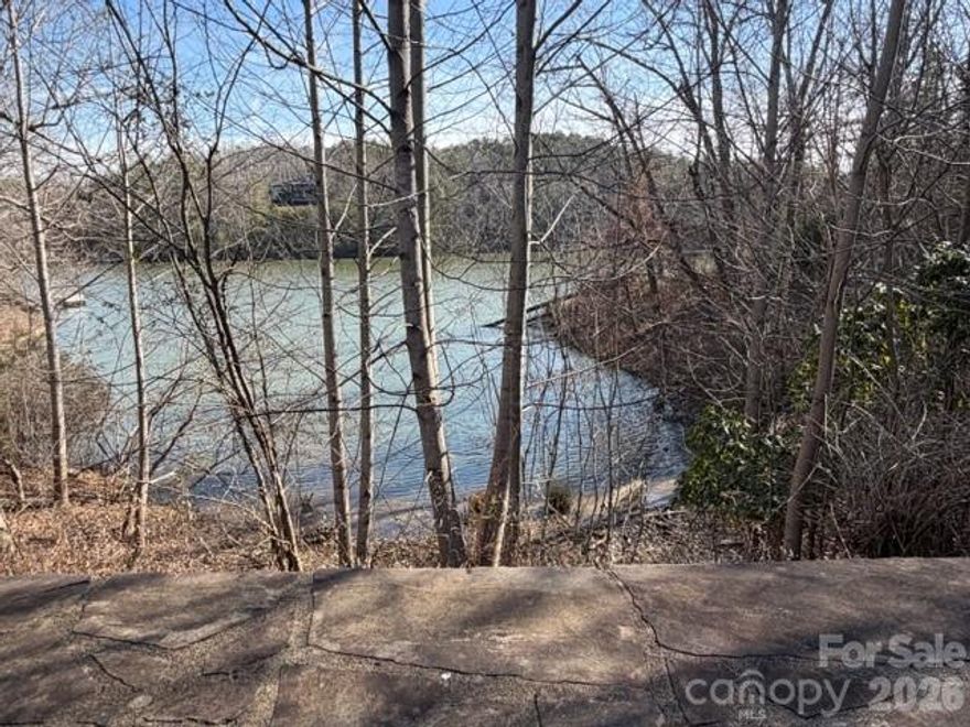 MOUNTAINS, LAKE, AND PERMIT TO BUILD A PRIVATE FLOATING DOCK! 350+ FT OF WATER FRONT!
This property has it al! This water front lot offers expansive views of pristine mountains and a peaceful lake, creating an idyllic backdrop for your dream home. Experience the ultimate in privacy and seclusion on this spacious lot, where natures beauty is right outside your doorstep. Enjoy miles of walking trails. Lake Adger is renowned for its tranquility and charm, providing a serene environment for those seeking a retreat from the hustle and bustle of city life.
Whether you're a nature enthusiast or simply crave a peaceful setting, this property delivers on every level. Lake Adger is a 438 acre lake with 14 miles of shoreline. It is a planned community with miles of equestrian/walking trails. It is located near the Tryon International Equestrian Center, Lake Lure, Hendersonville NC and Spartanburg Greenville SC. Contact us today for your tour and make this exceptional water front lot your own.