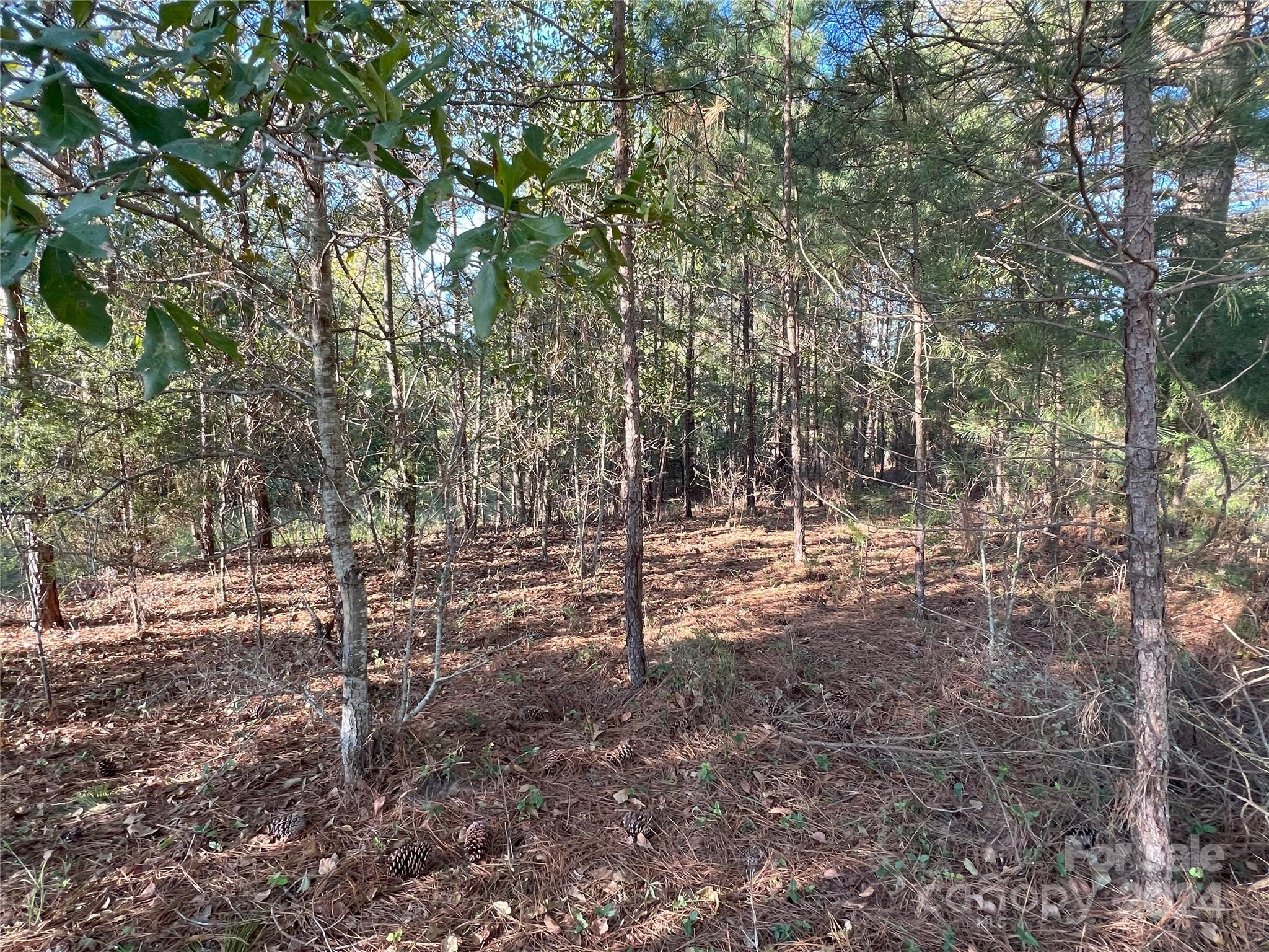 Broad River Highlands - Land