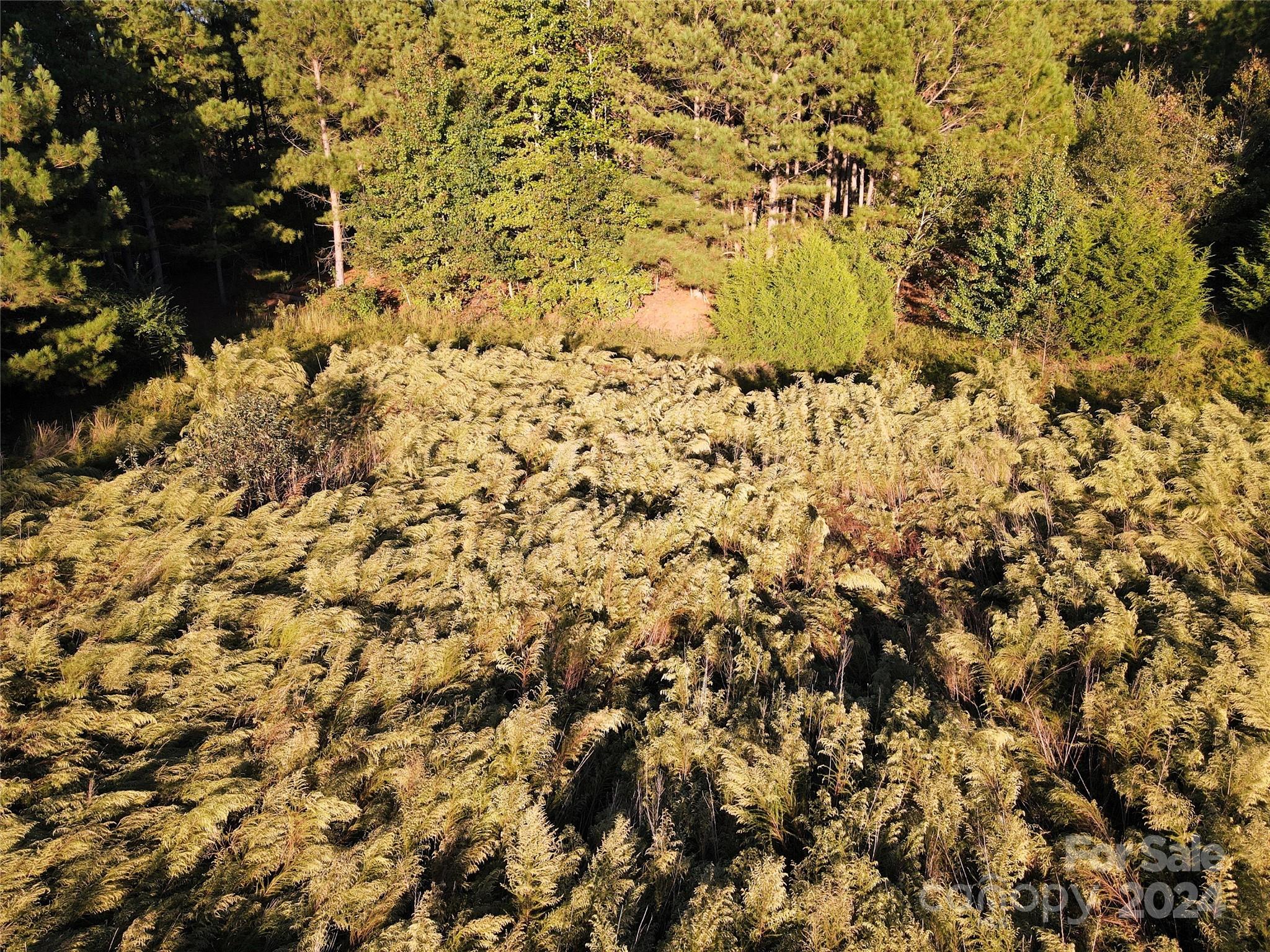 Broad River Highlands - Land